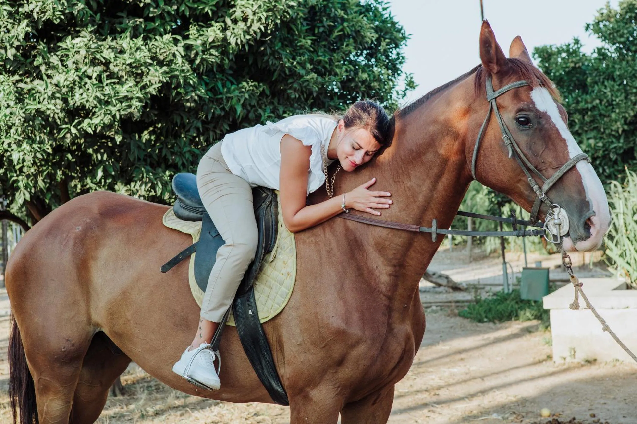 Masseria L'Uliveto Agri Resort