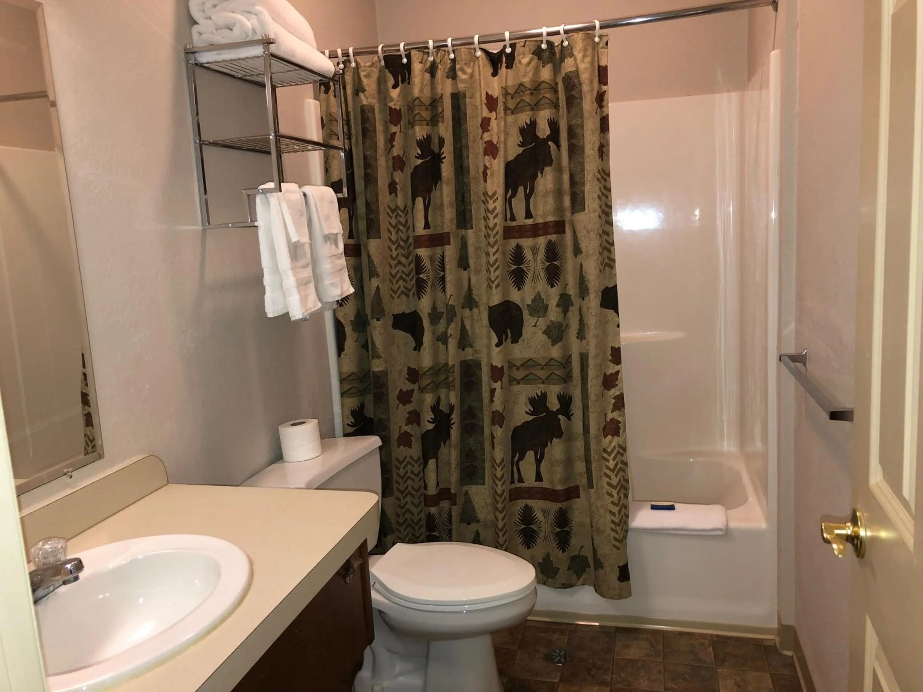 Bathroom in Tug Hill Resort