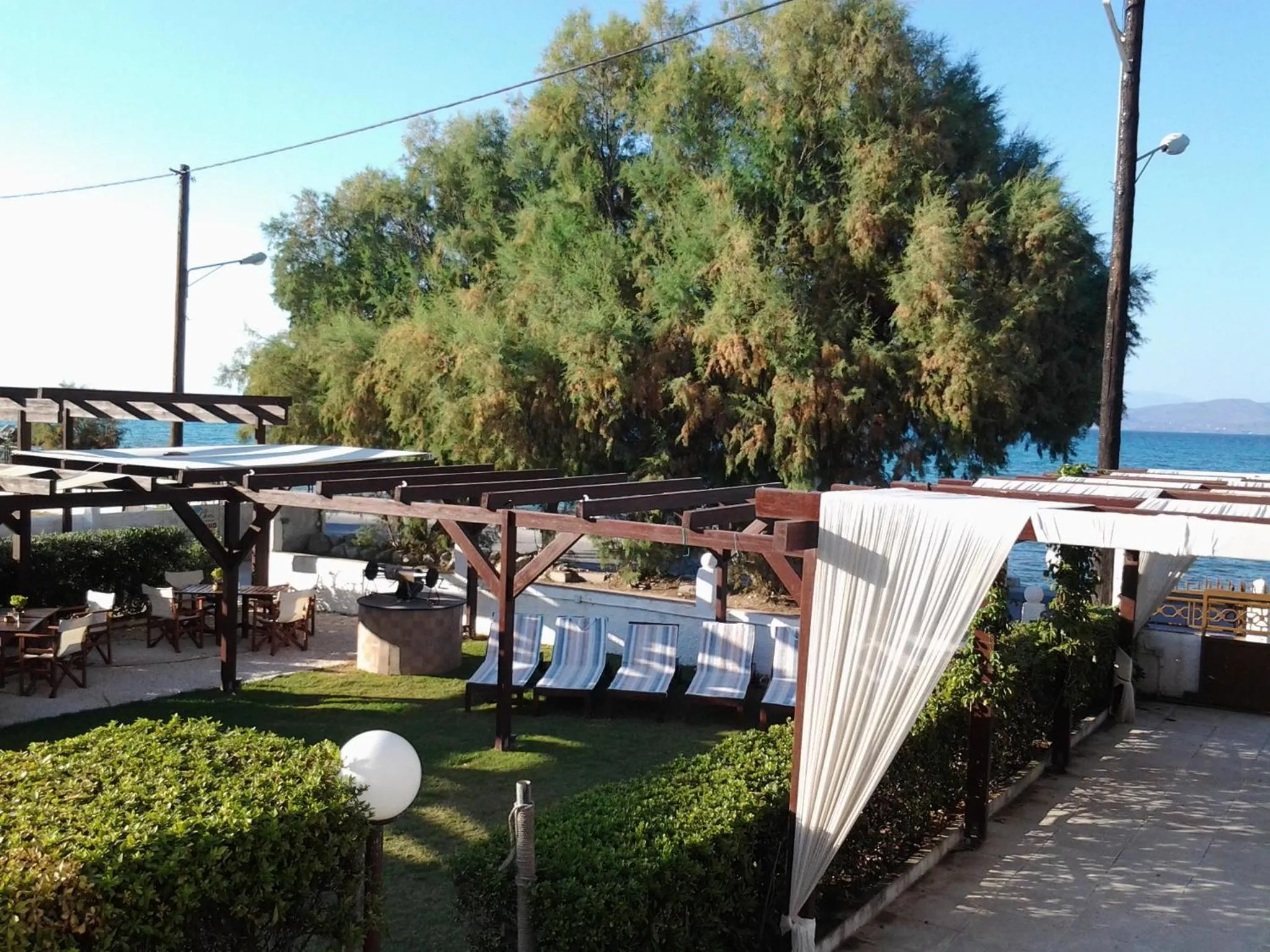 Garden in Chris Studios & Apartments