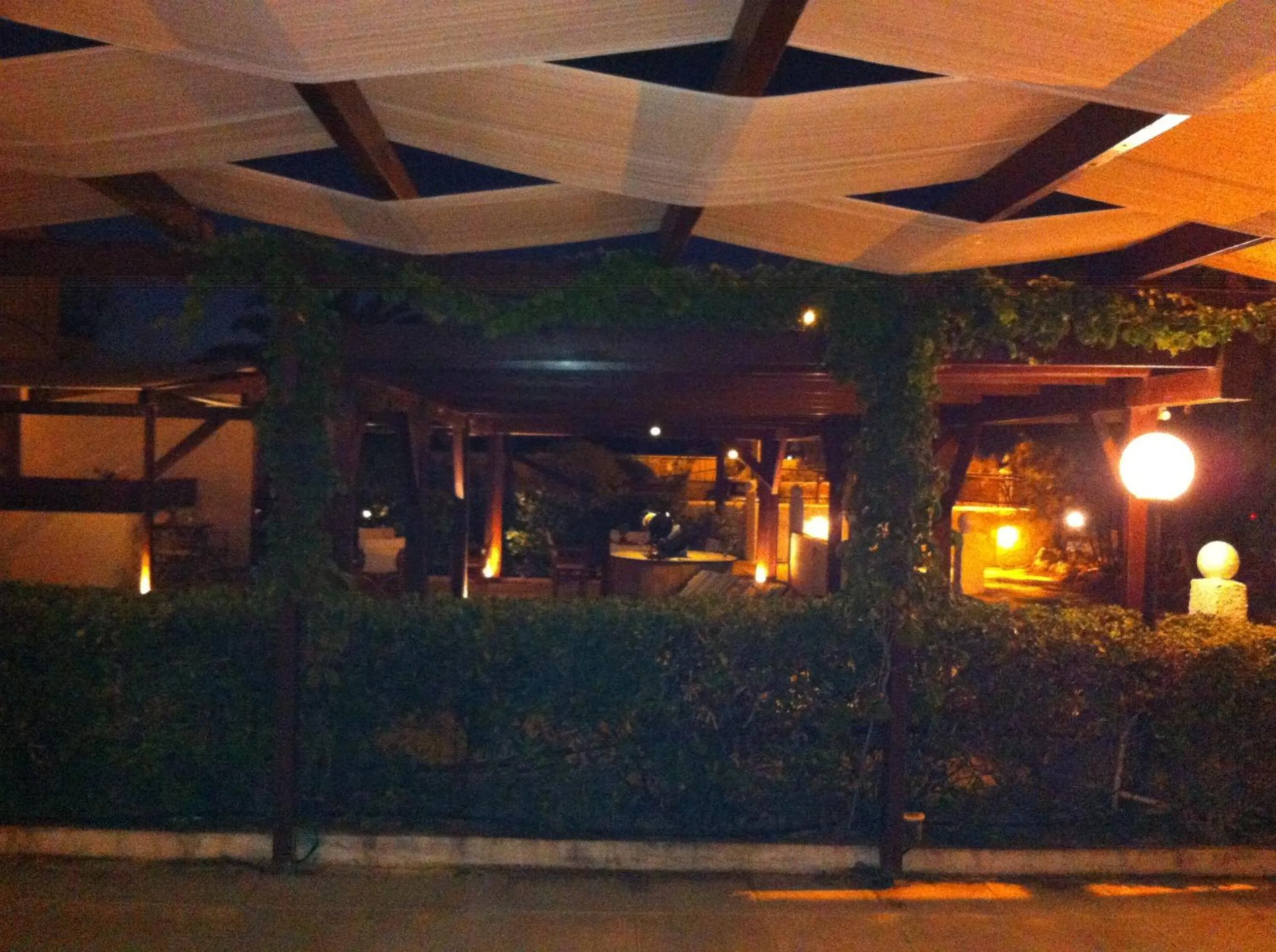 Garden in Chris Studios & Apartments