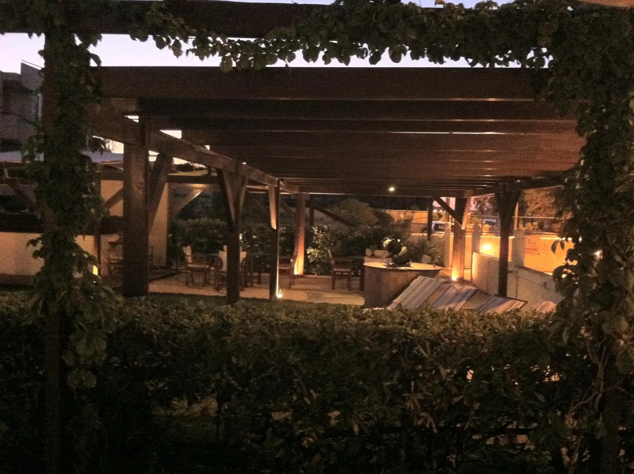 Garden in Chris Studios & Apartments