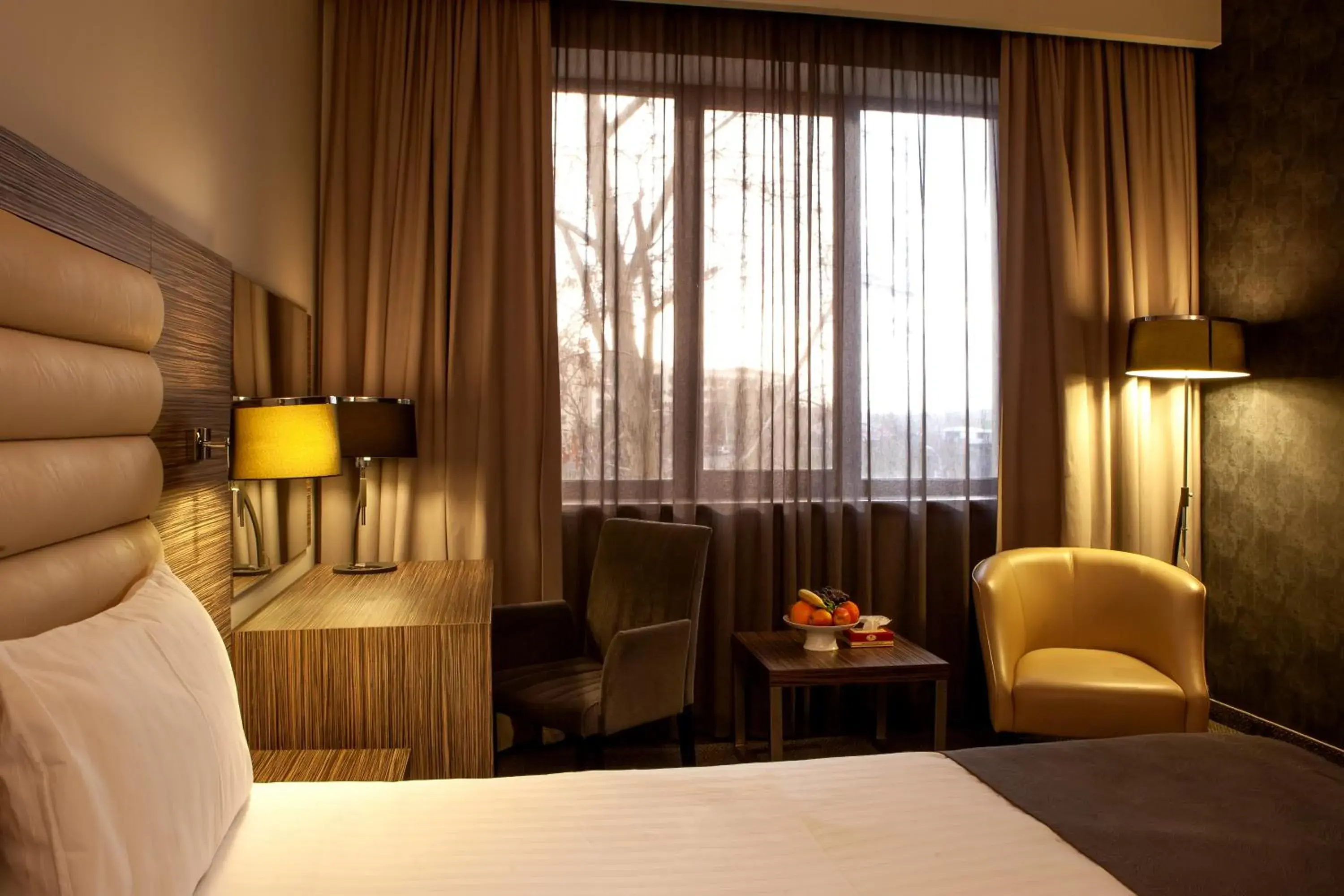 Standard Double Room - single occupancy in President Hotel by Hrazdan Hotel CJSC Standard Double Room - single occupancy in President Hotel by Hrazdan Hotel CJSC