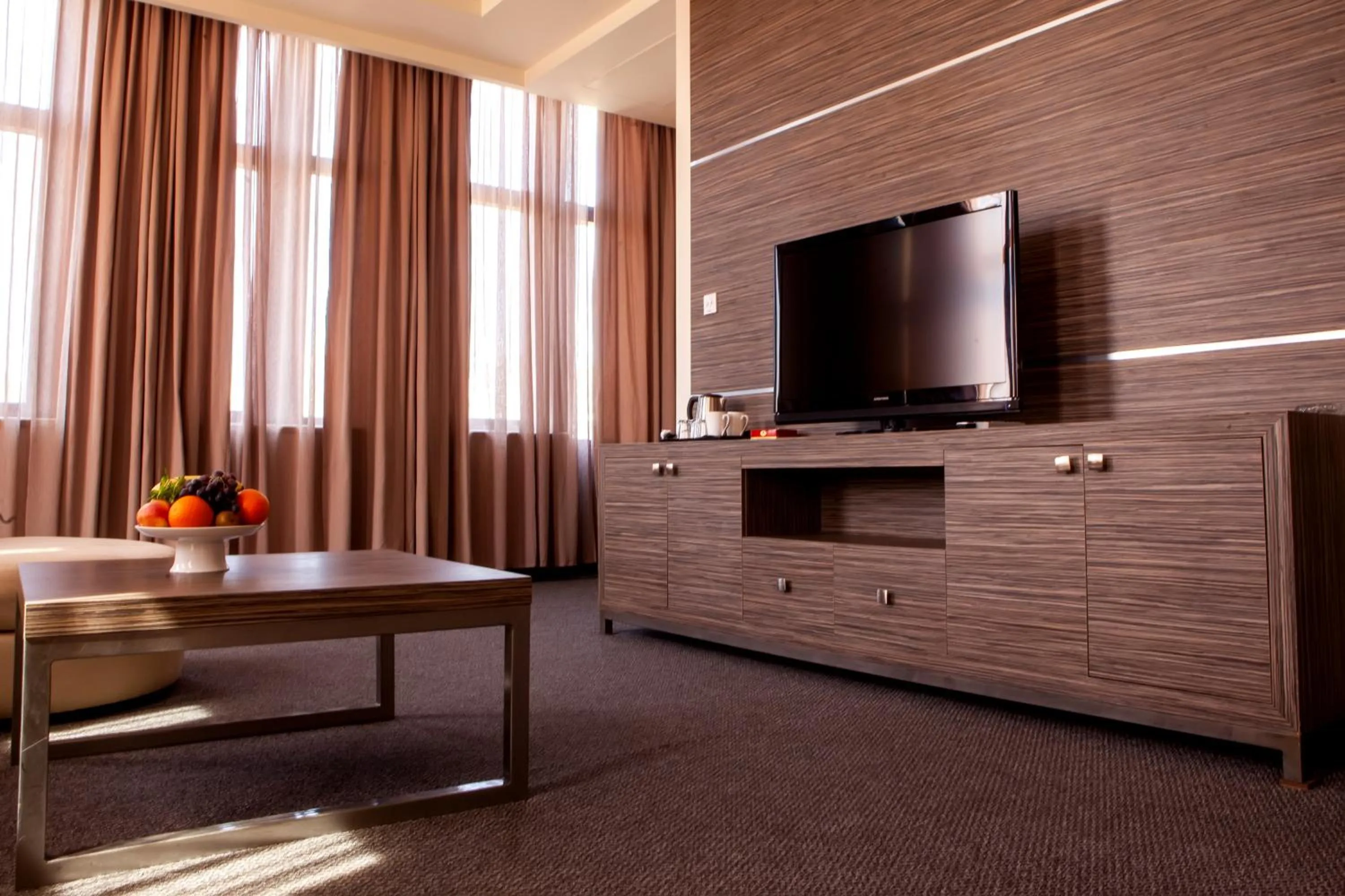 TV and multimedia in President Hotel by Hrazdan Hotel CJSC