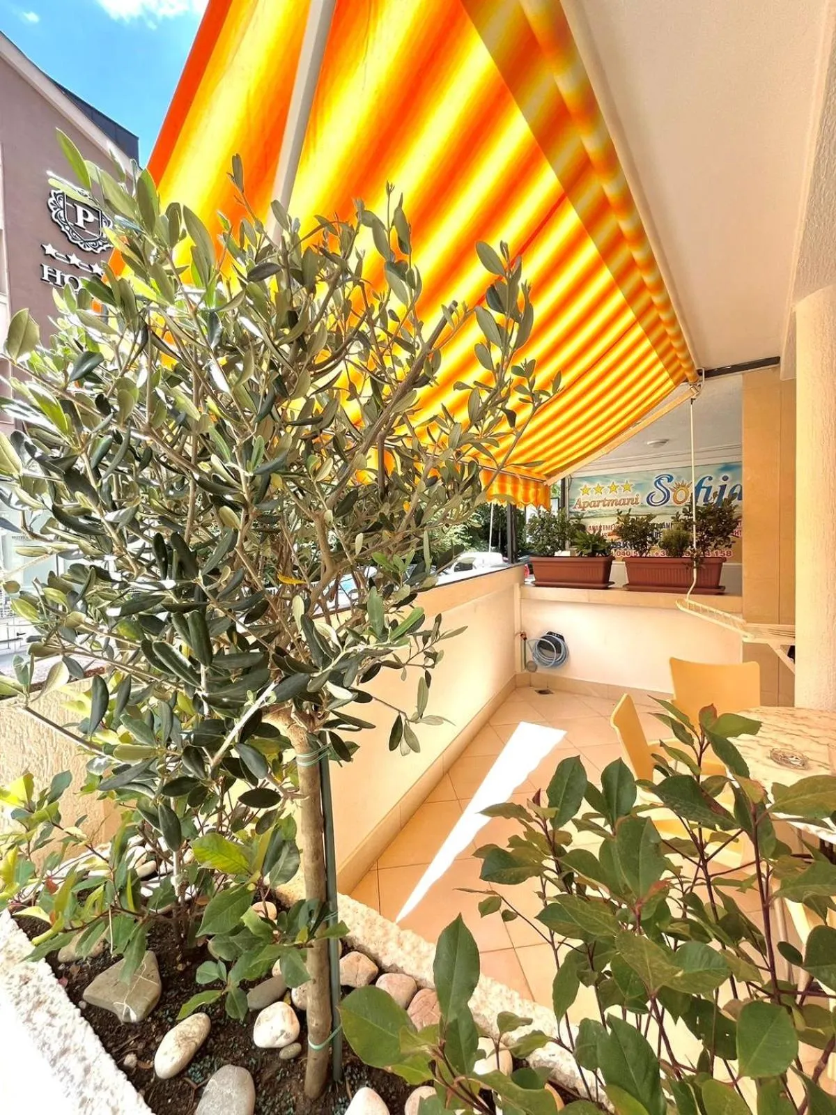 Day in Apartments Sofija