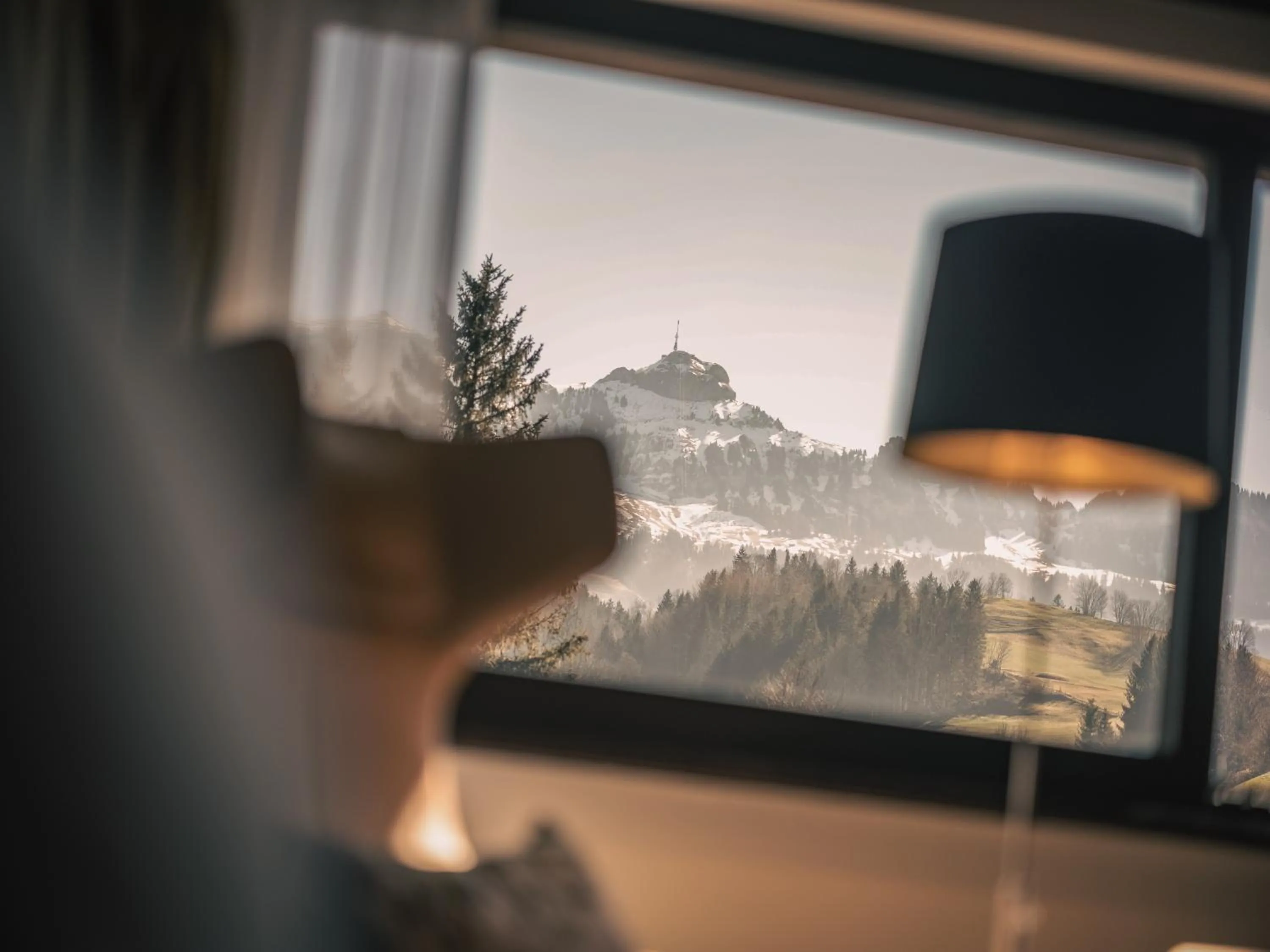 Mountain view in Hof Weissbad Health & Wellness Resort