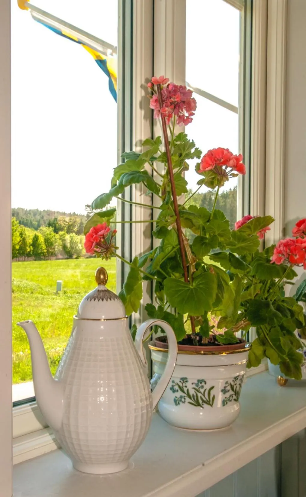 Natural landscape in Tavlebords Honungsgård