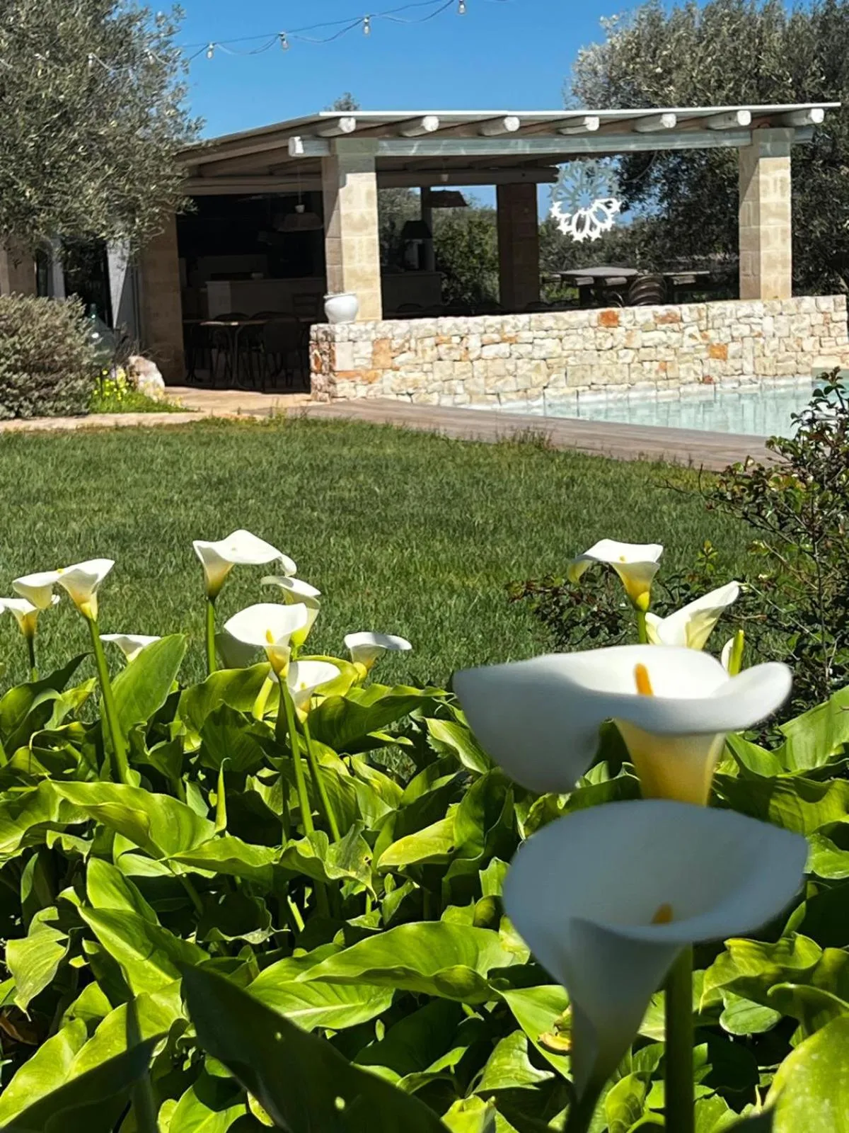 B&B Don Giovanni Monopoli