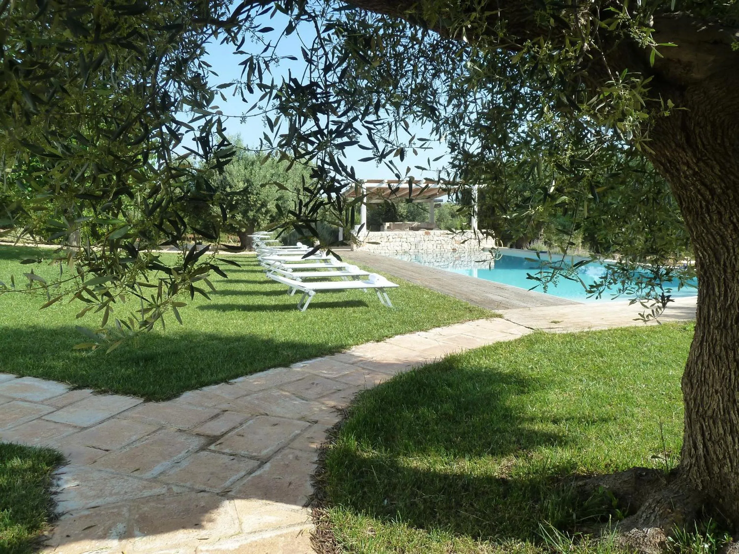 Swimming pool in B&B Don Giovanni Monopoli
