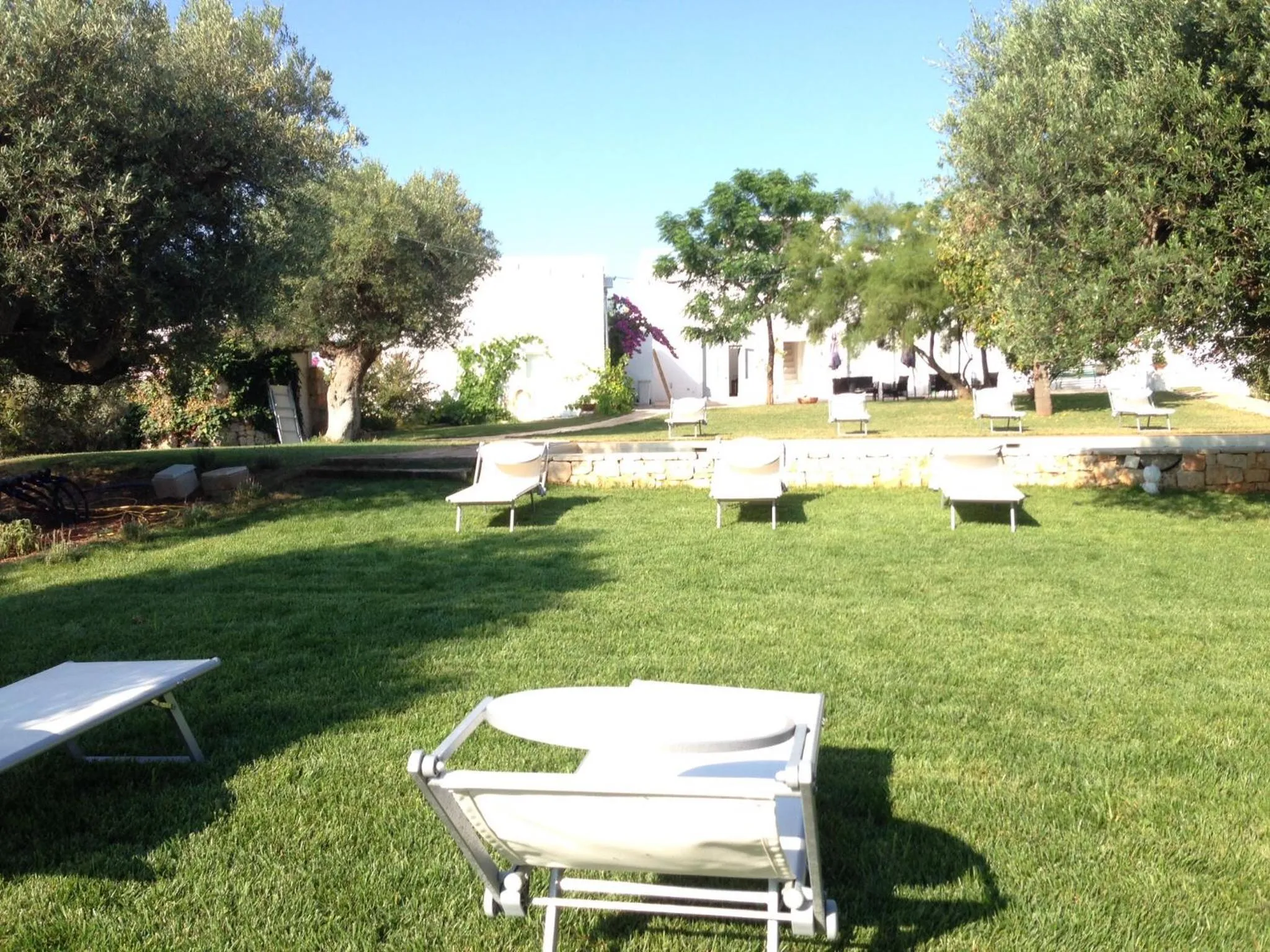 Garden in B&B Don Giovanni Monopoli