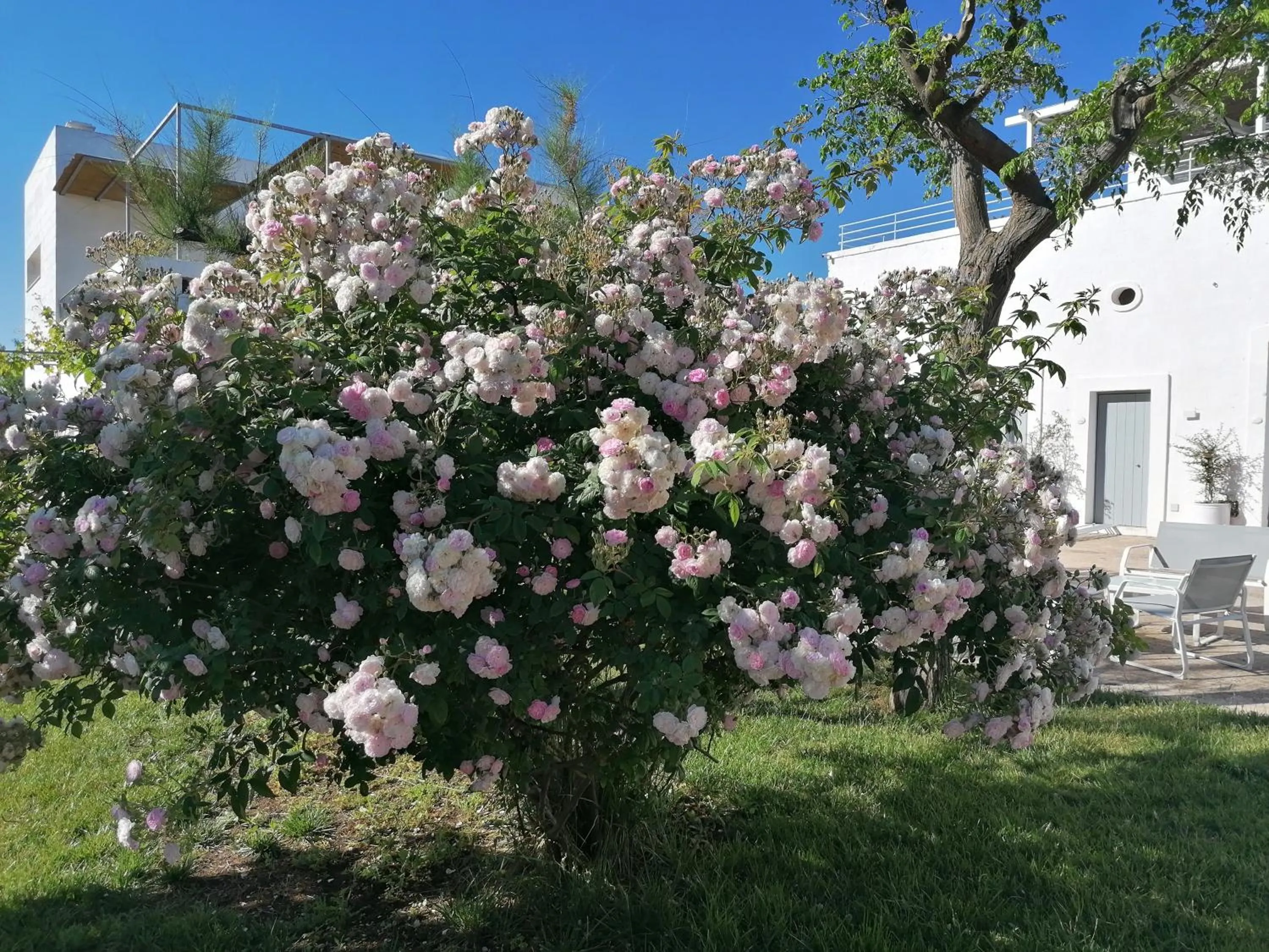 B&B Don Giovanni Monopoli