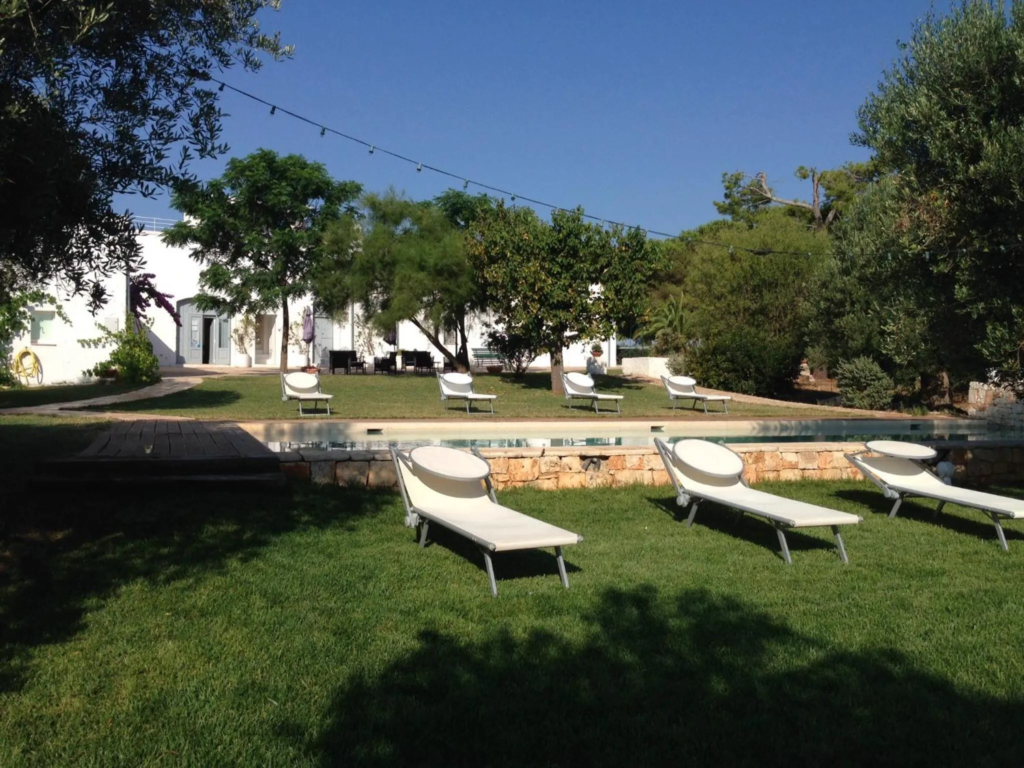 Garden in B&B Don Giovanni Monopoli