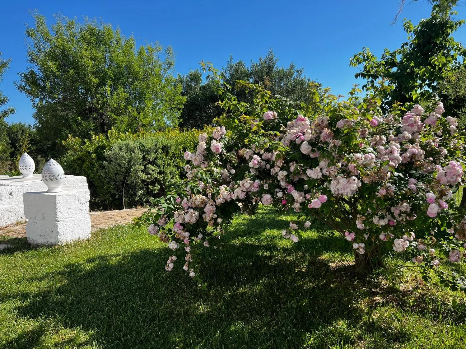 B&B Don Giovanni Monopoli