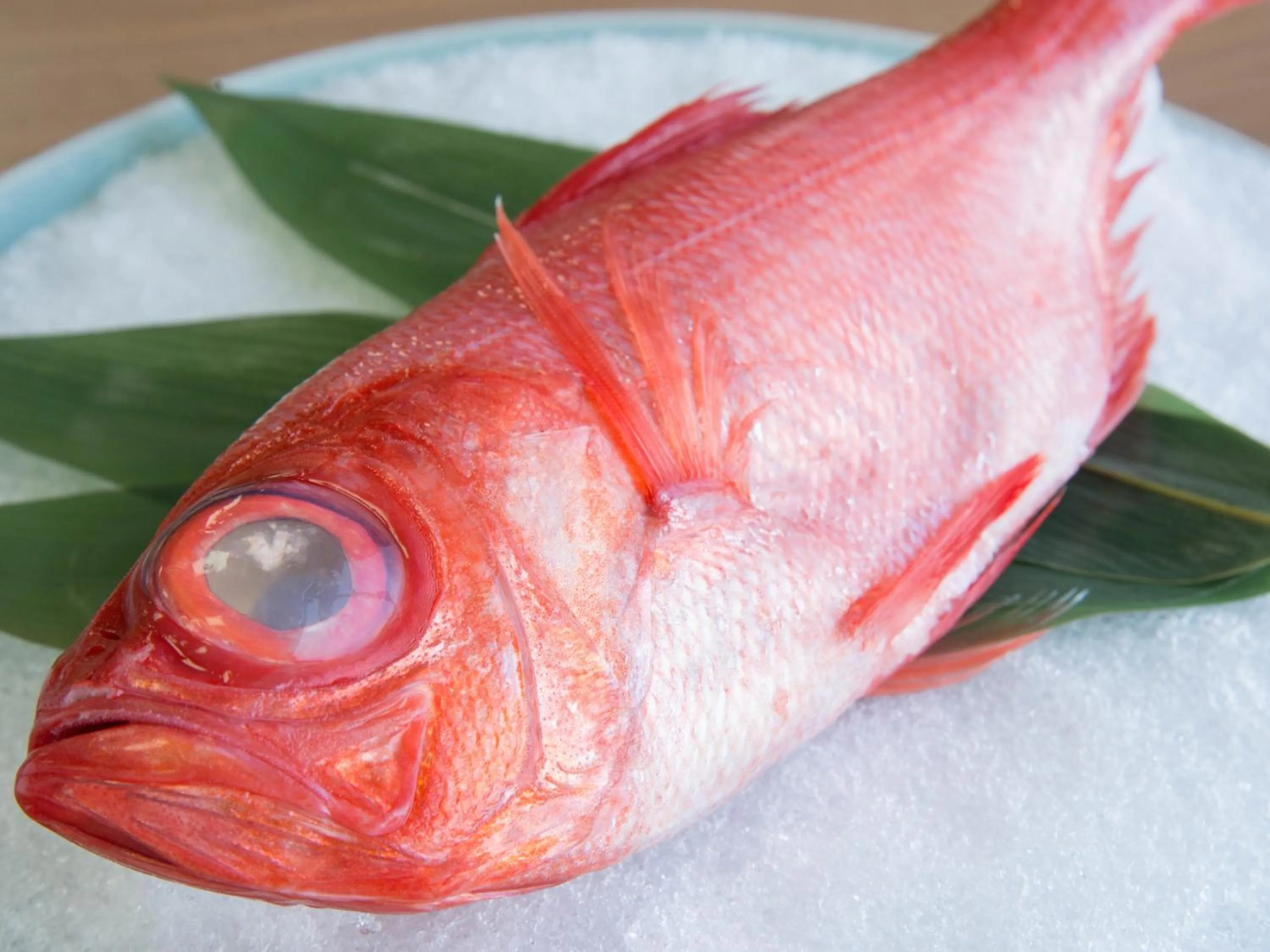 Food and drinks in Iwamotoro