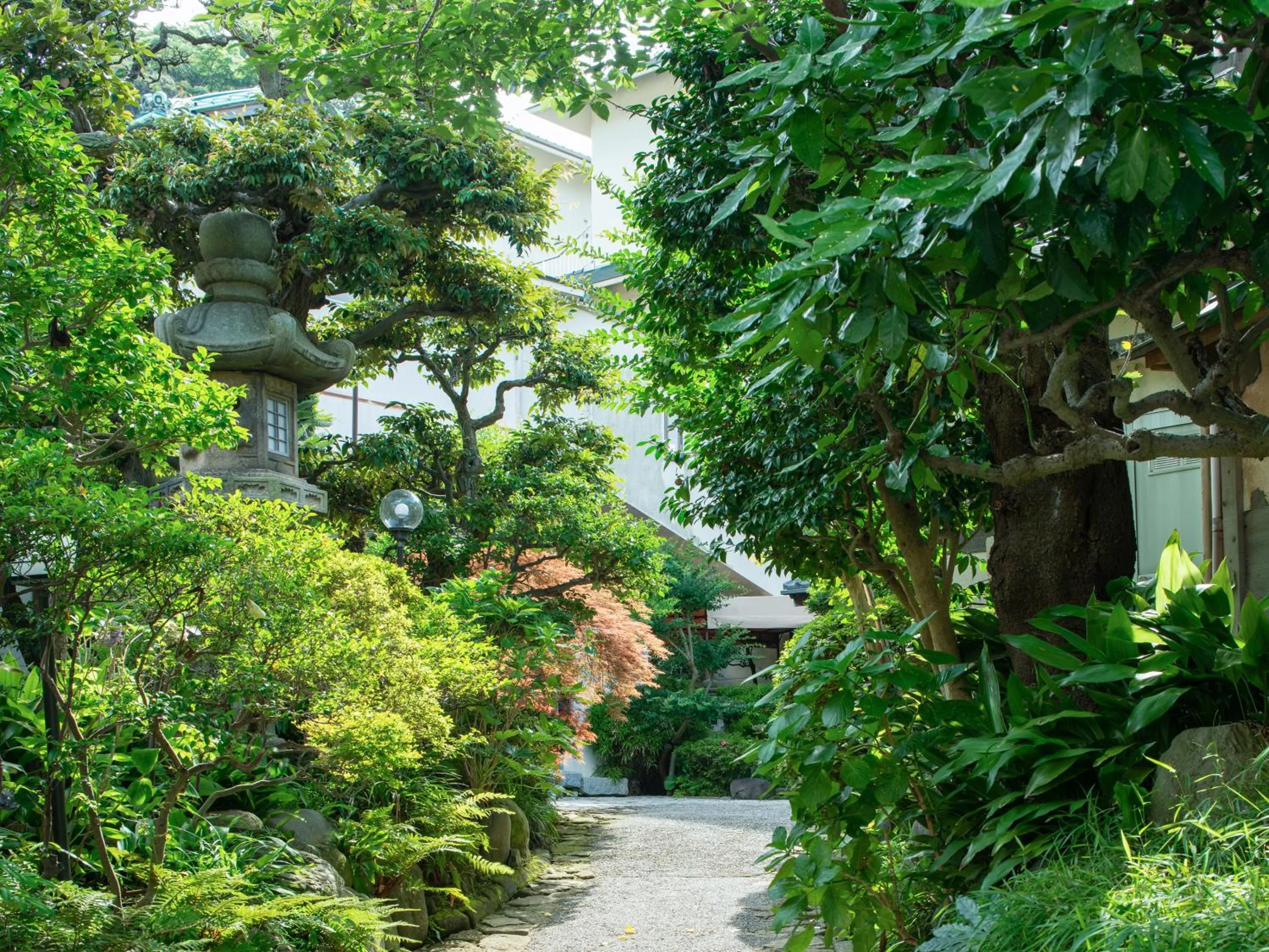 Property building in Iwamotoro