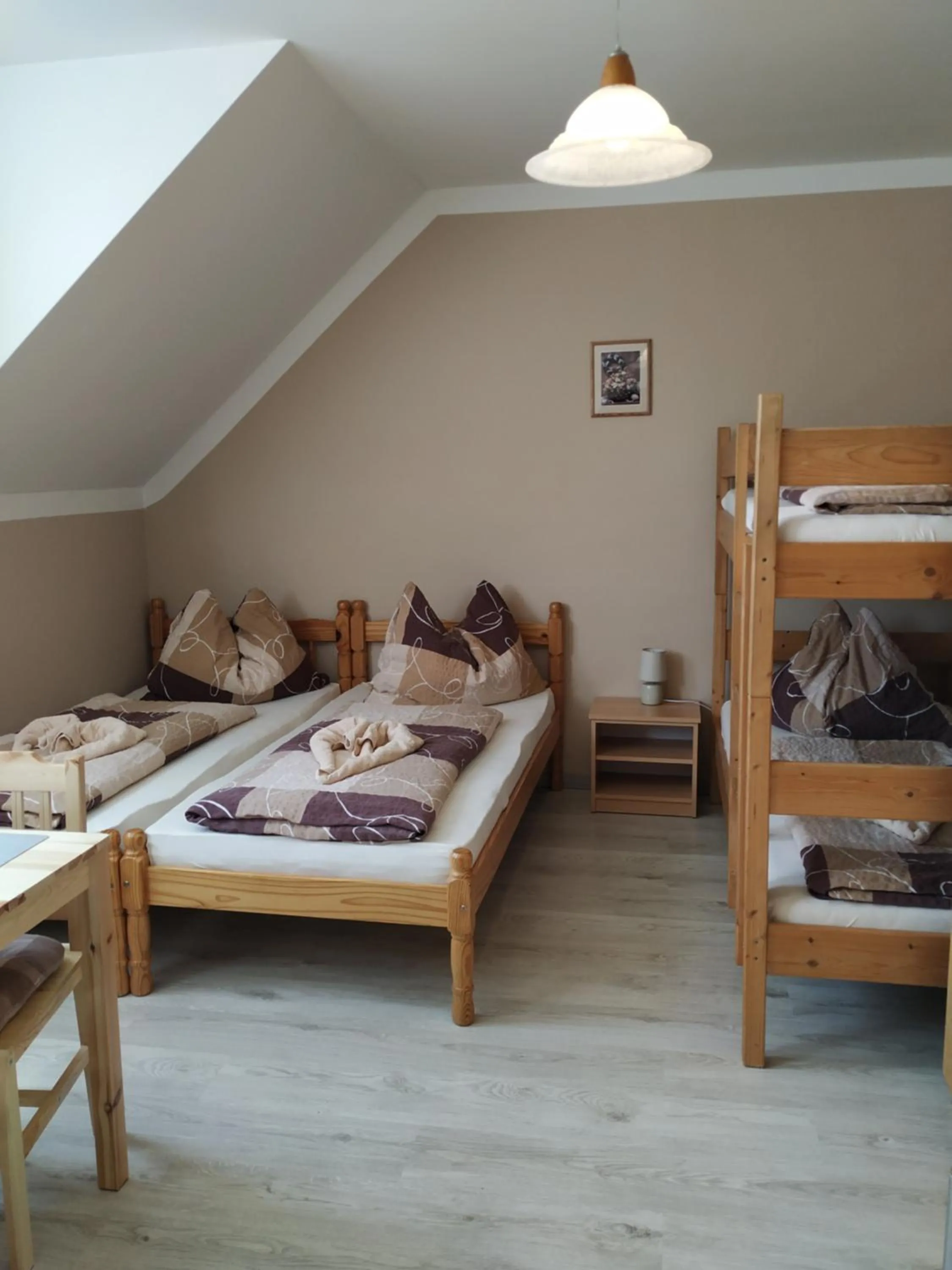 Apartment - single occupancy in Penzion Žírovice