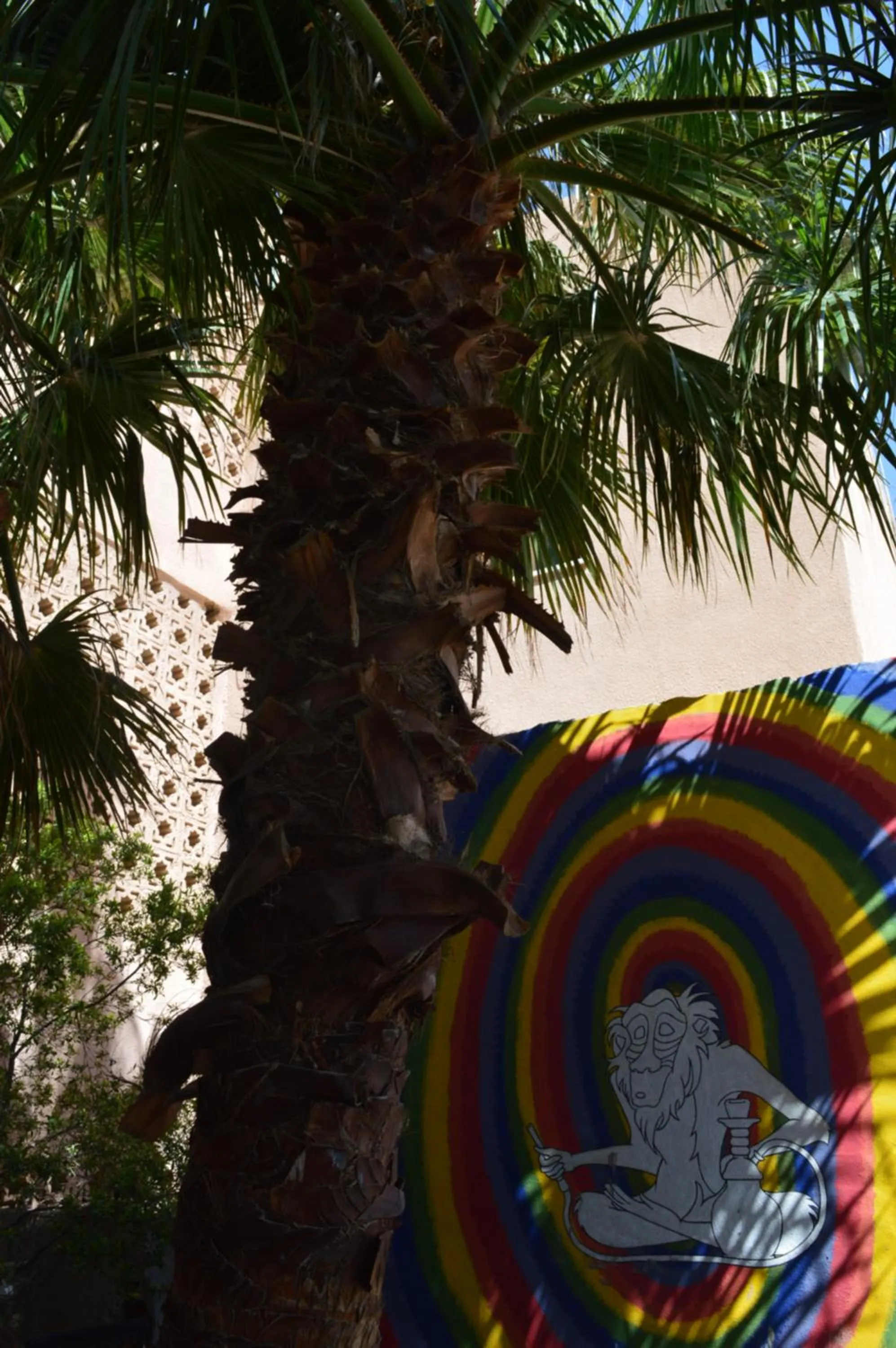 Garden in Rafiki Hostel