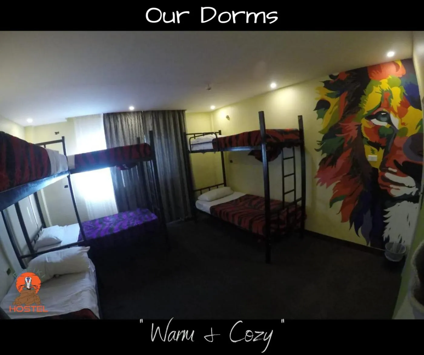 bunk bed, Bed in Rafiki Hostel