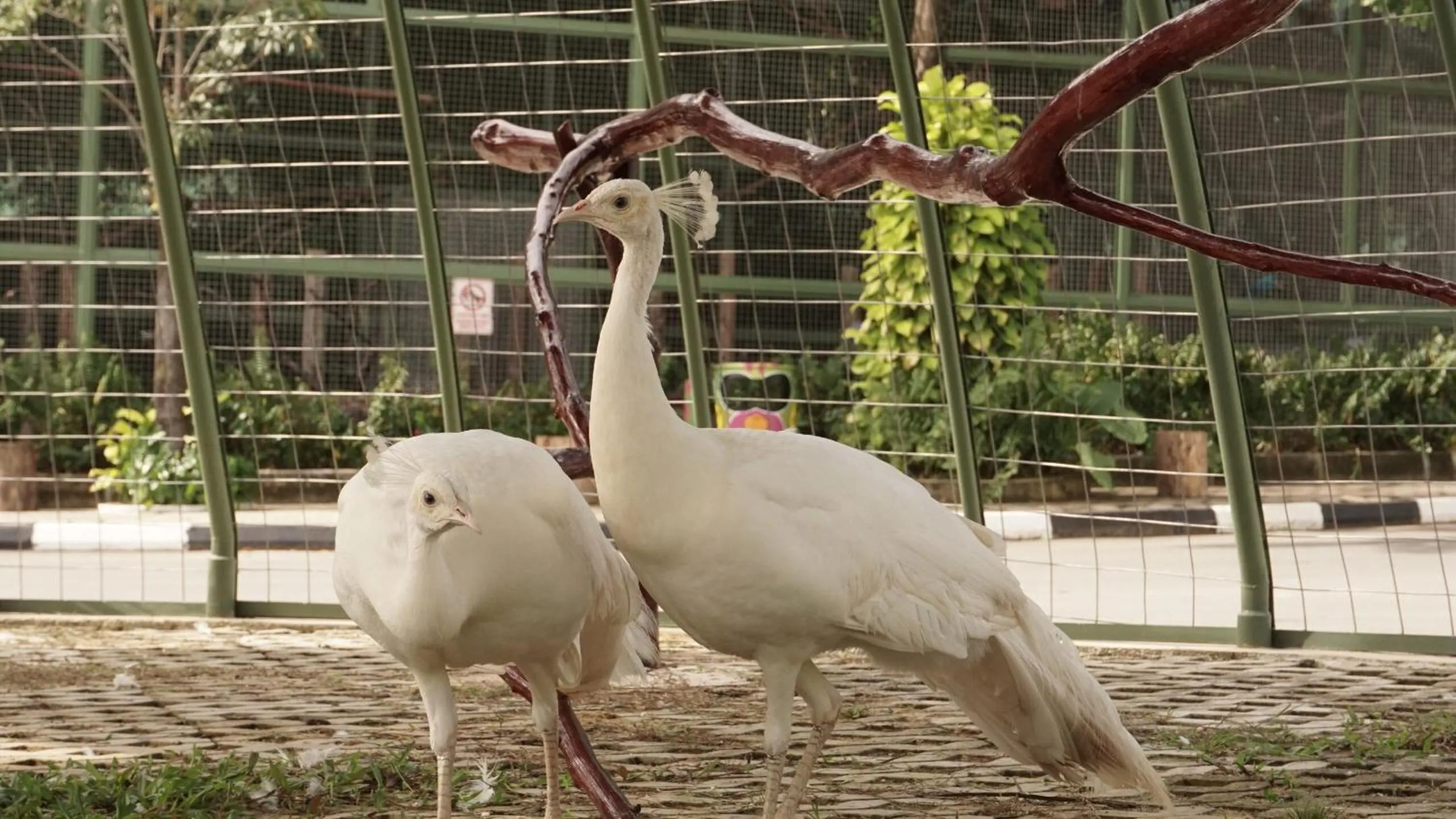 Activities in Panbil Residence Serviced Apartment