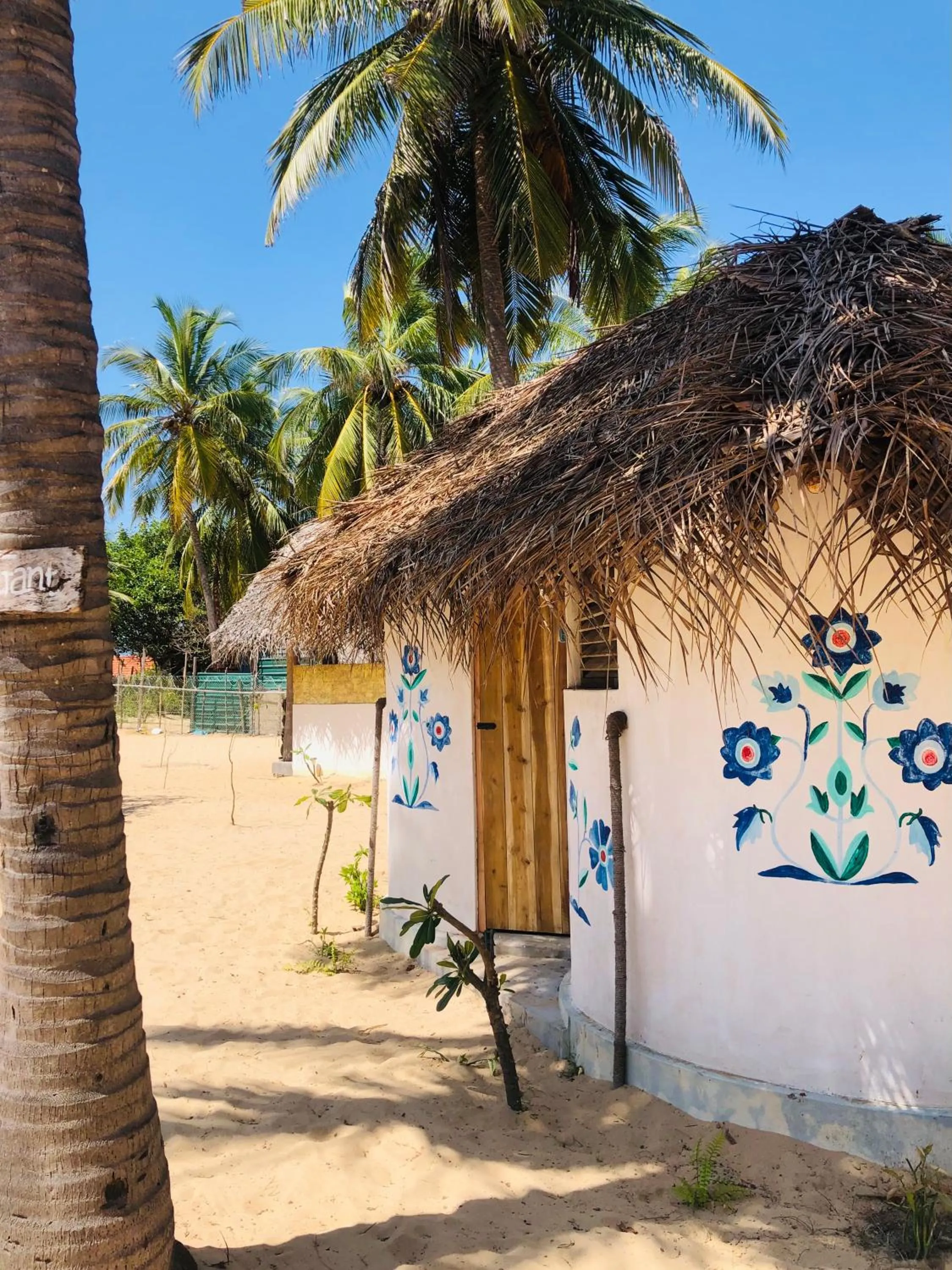 Windy Waves Beach Nature Resort & Kite School