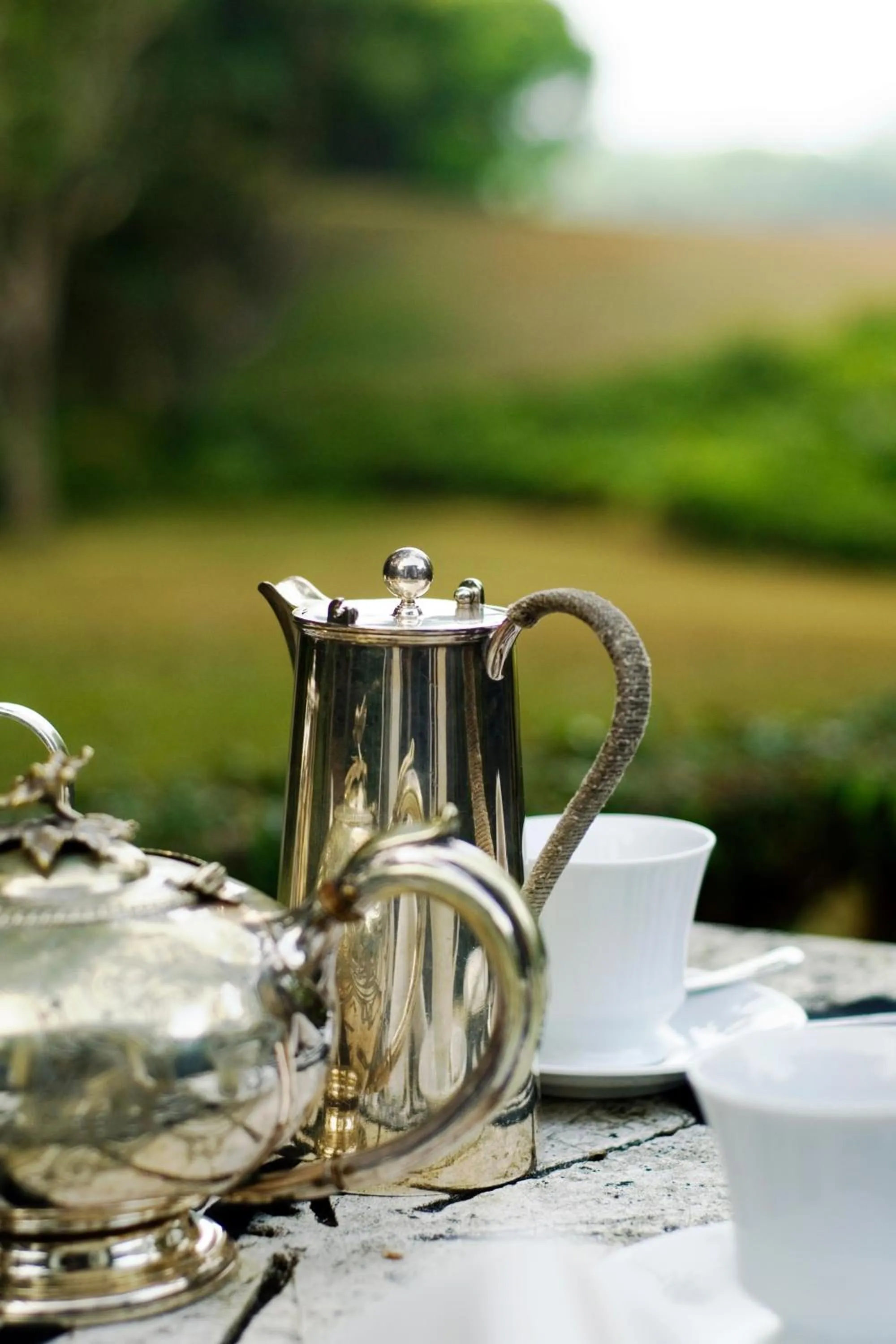 Continental breakfast in Lunuganga Estate