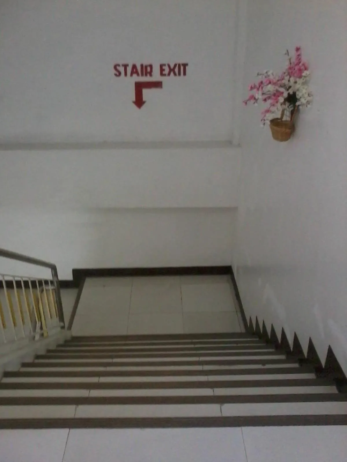 Asia Novo Boutique Hotel - Roxas