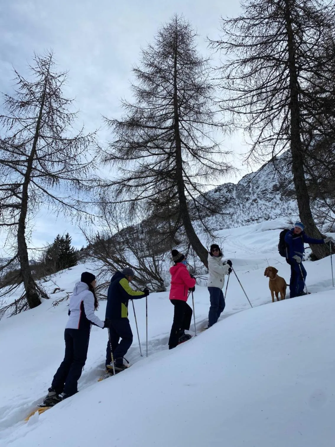 Winter in Grand Hotel Miramonti