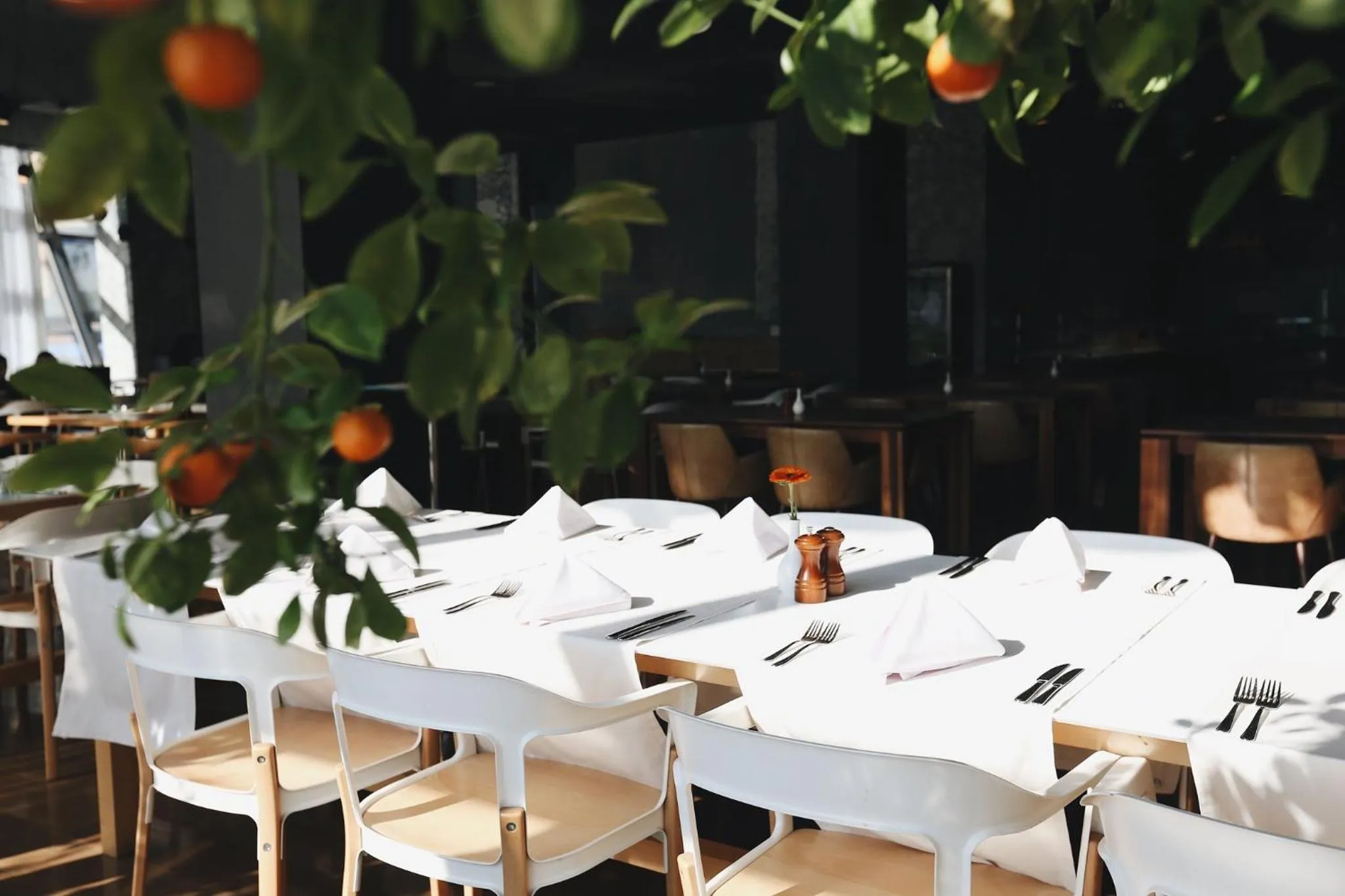 Restaurant/places to eat in Holiday Inn - Tbilisi by IHG