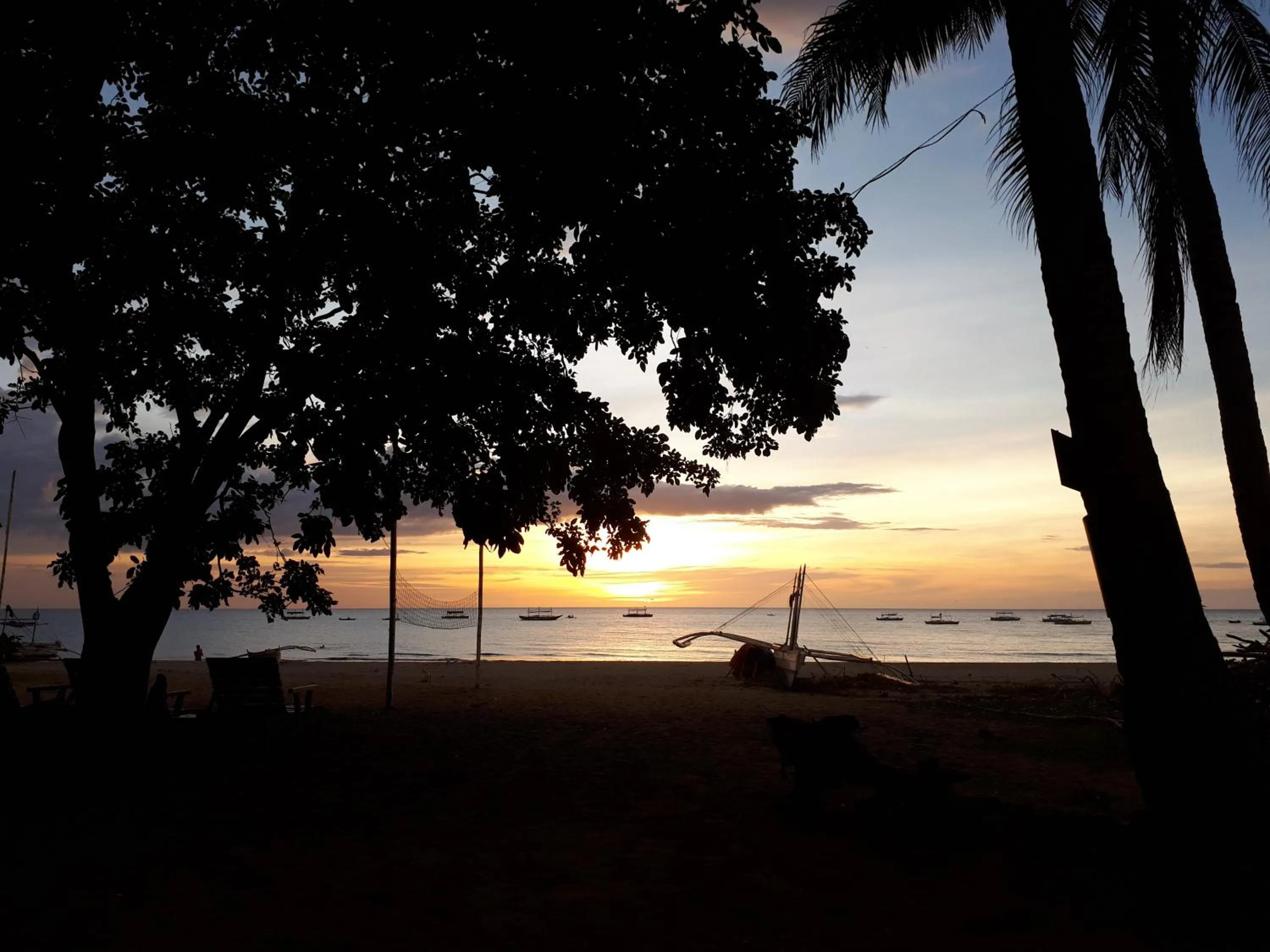 Beach in Big BamBoo Beach Resort Sipalay