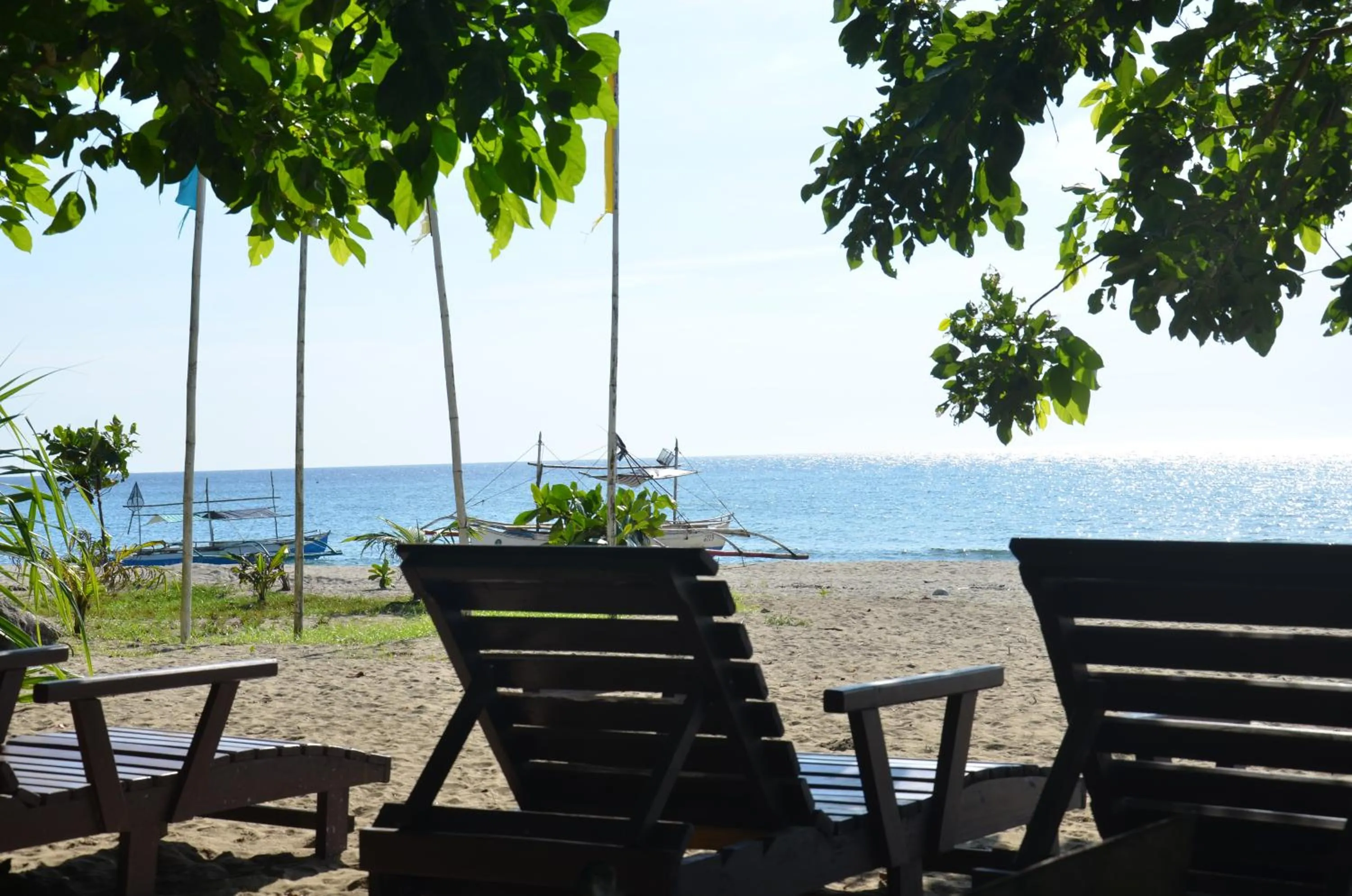 Natural landscape in Big BamBoo Beach Resort Sipalay