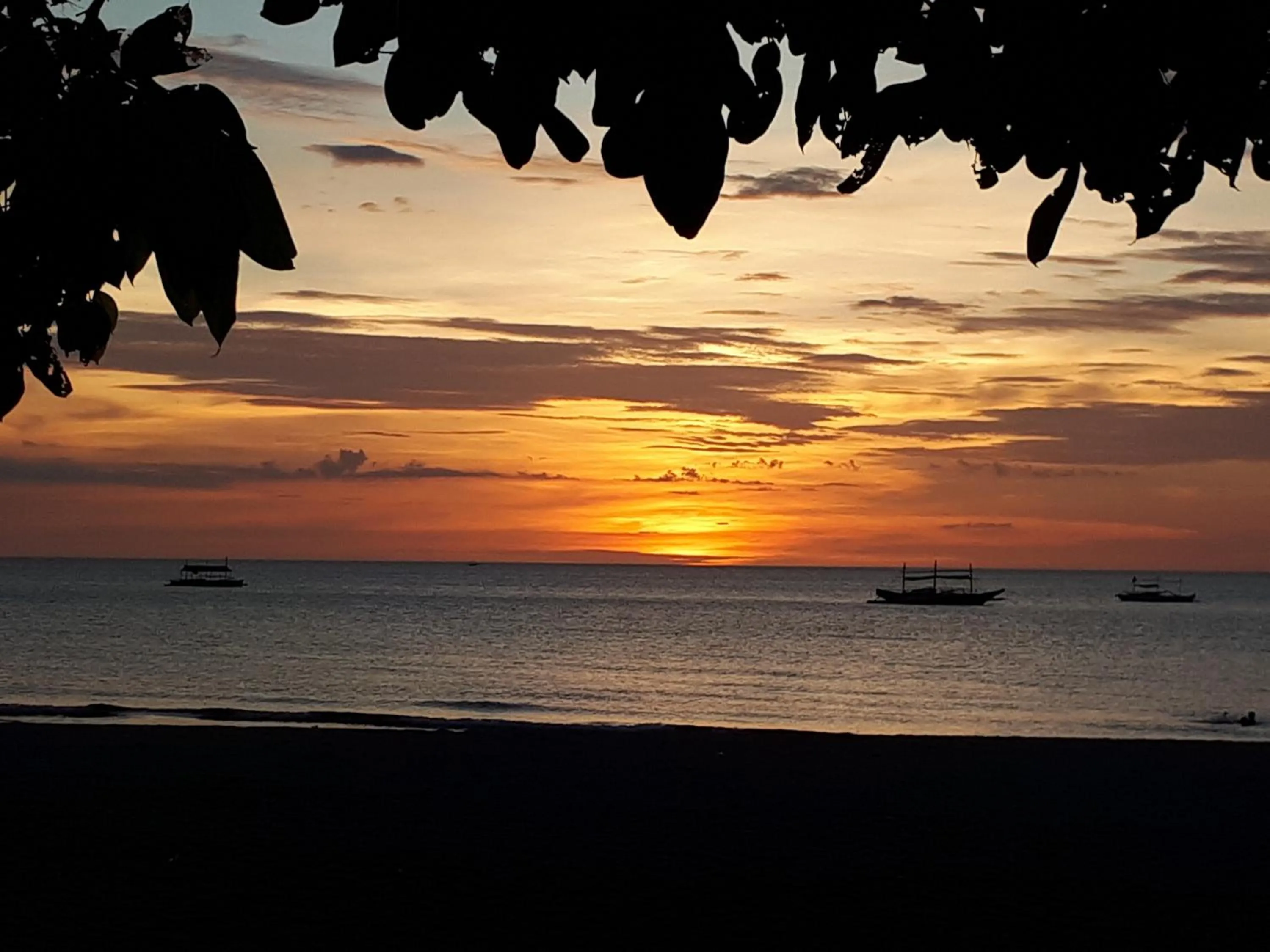 Beach in Big BamBoo Beach Resort Sipalay