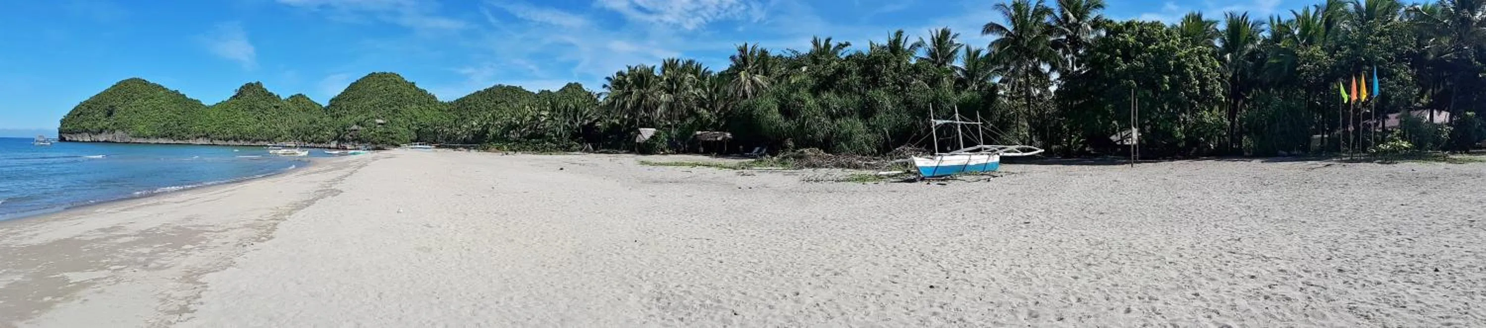 Natural landscape in Big BamBoo Beach Resort Sipalay