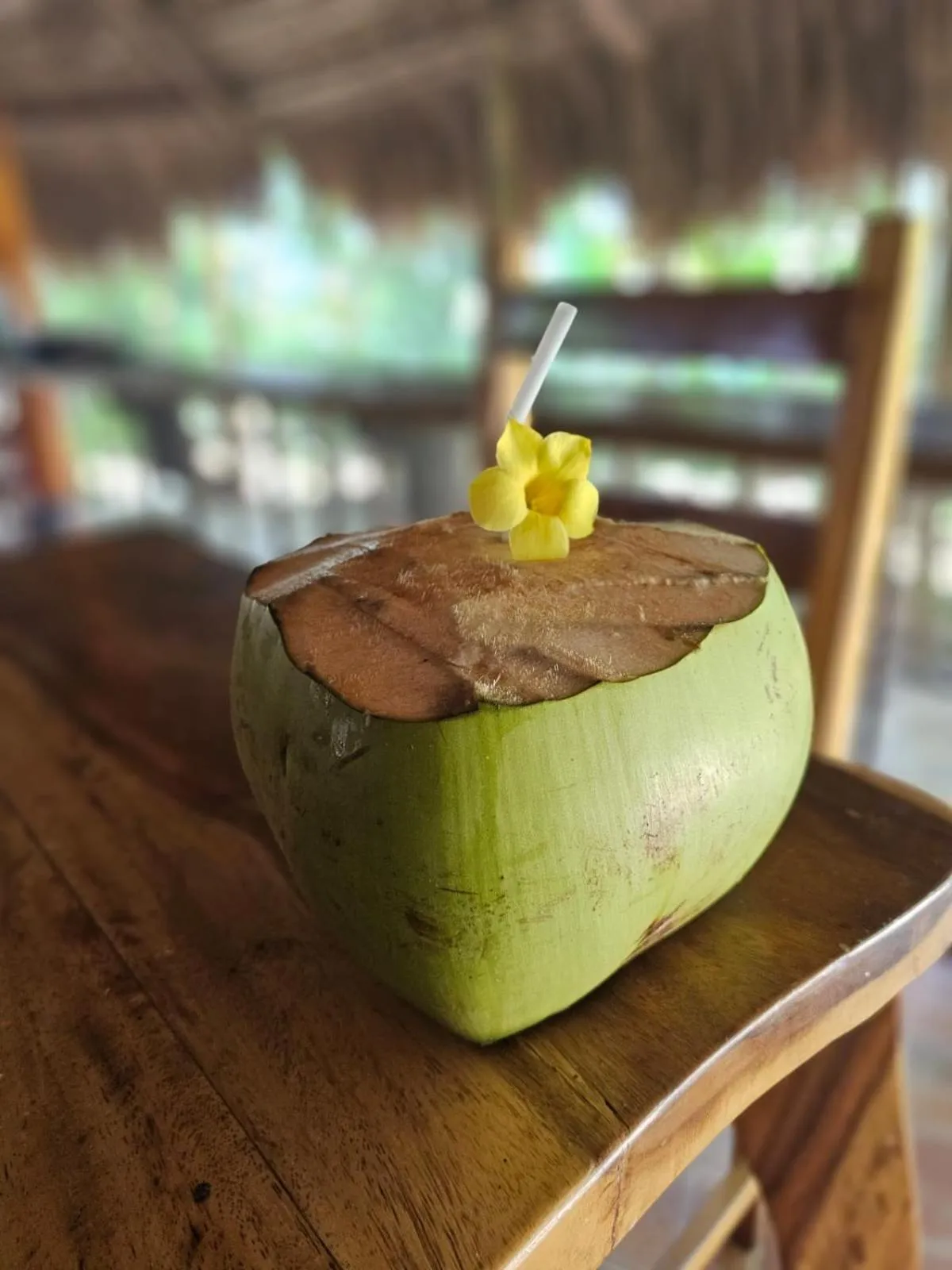 Restaurant/places to eat in Big BamBoo Beach Resort Sipalay