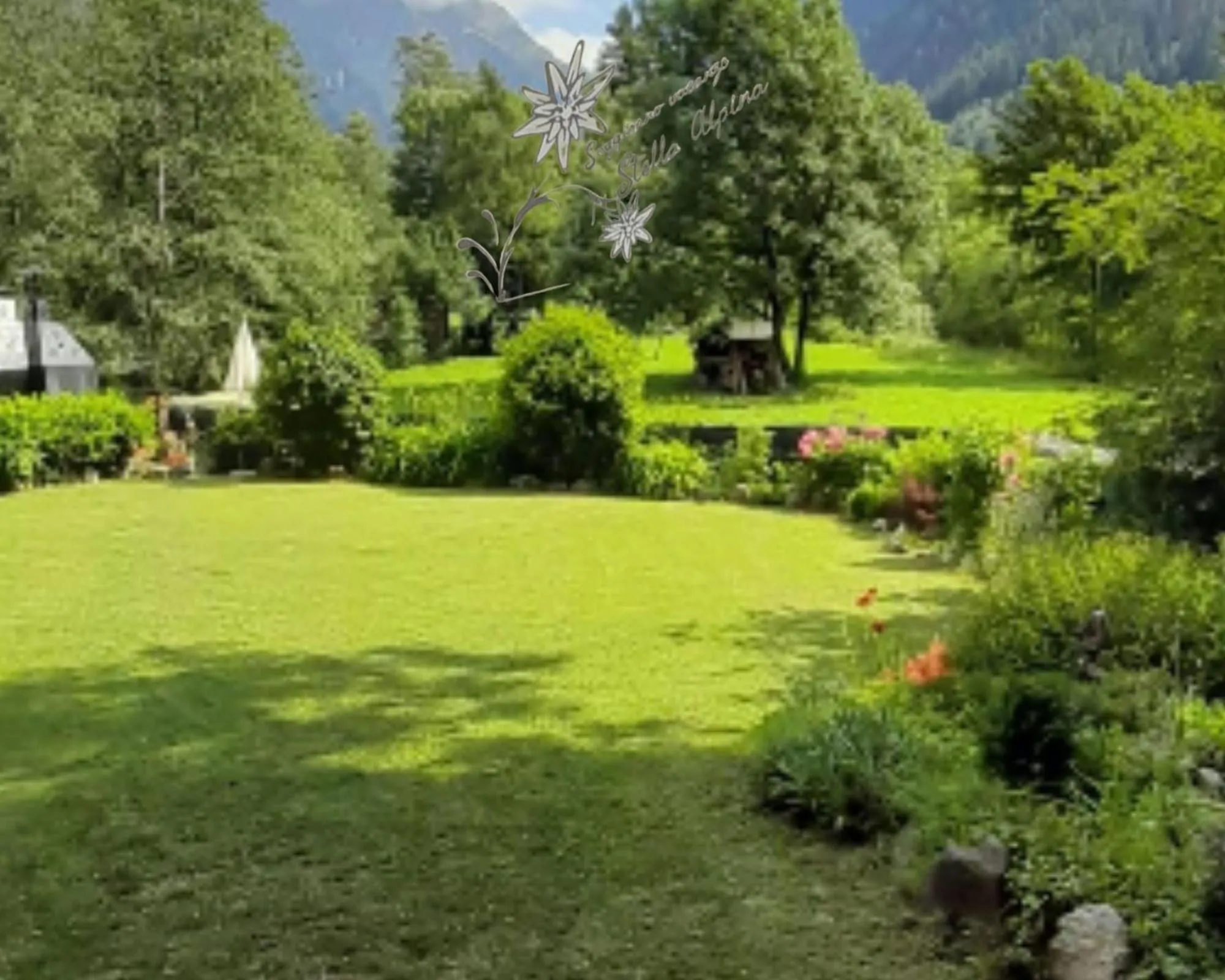 Garden in Soggiorno Vacanze Stella Alpina