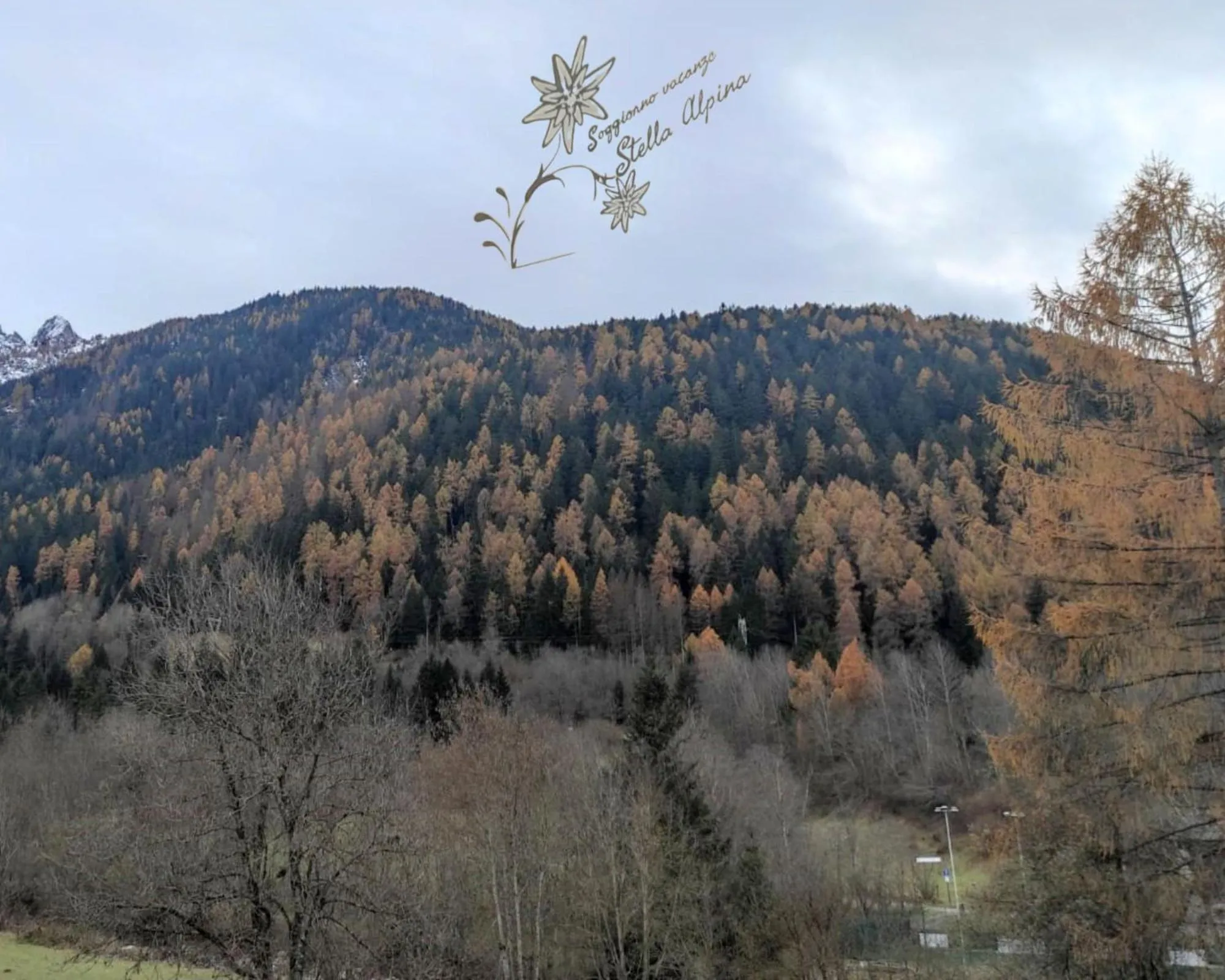 Natural landscape in Soggiorno Vacanze Stella Alpina