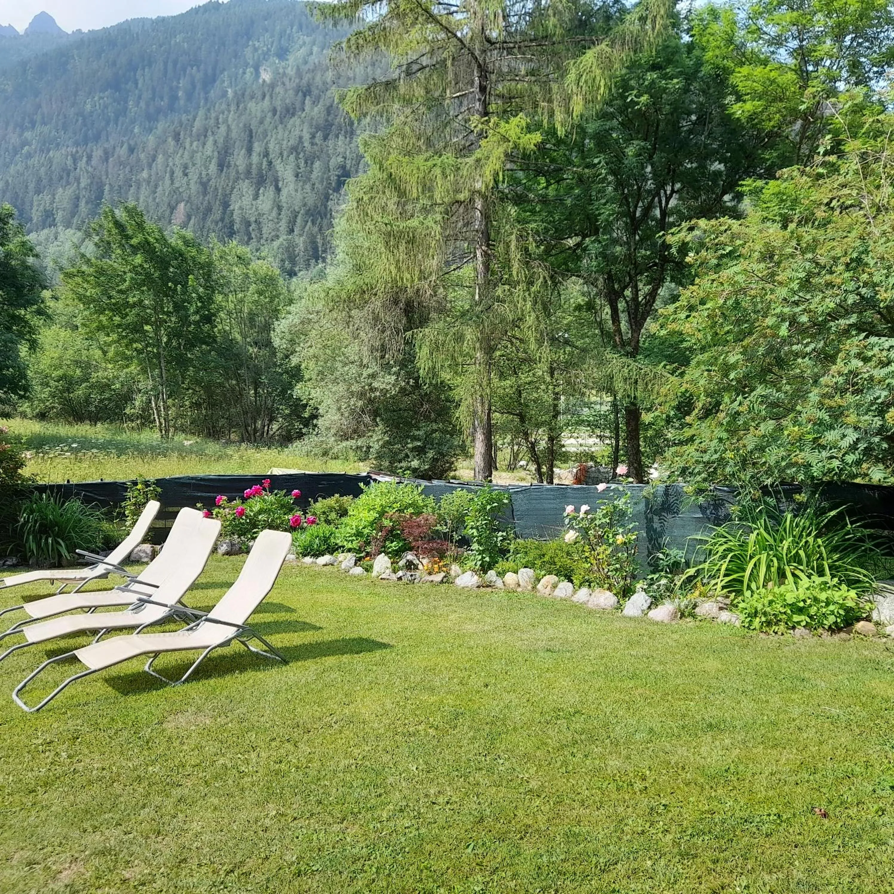 Garden in Soggiorno Vacanze Stella Alpina