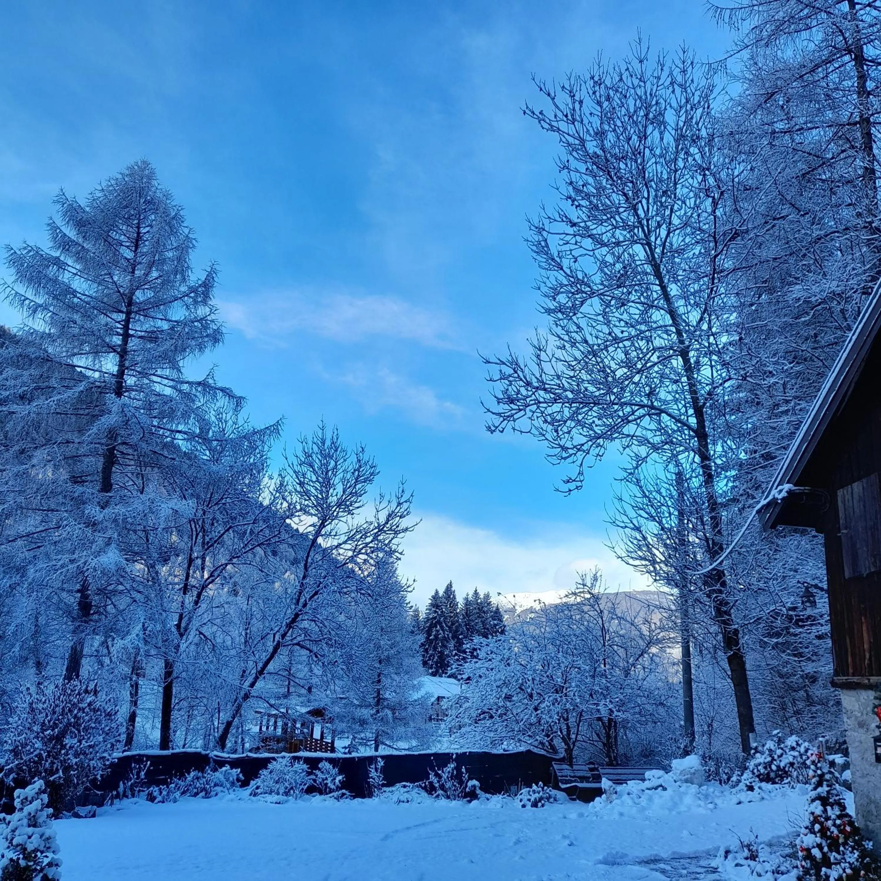 Winter in Soggiorno Vacanze Stella Alpina