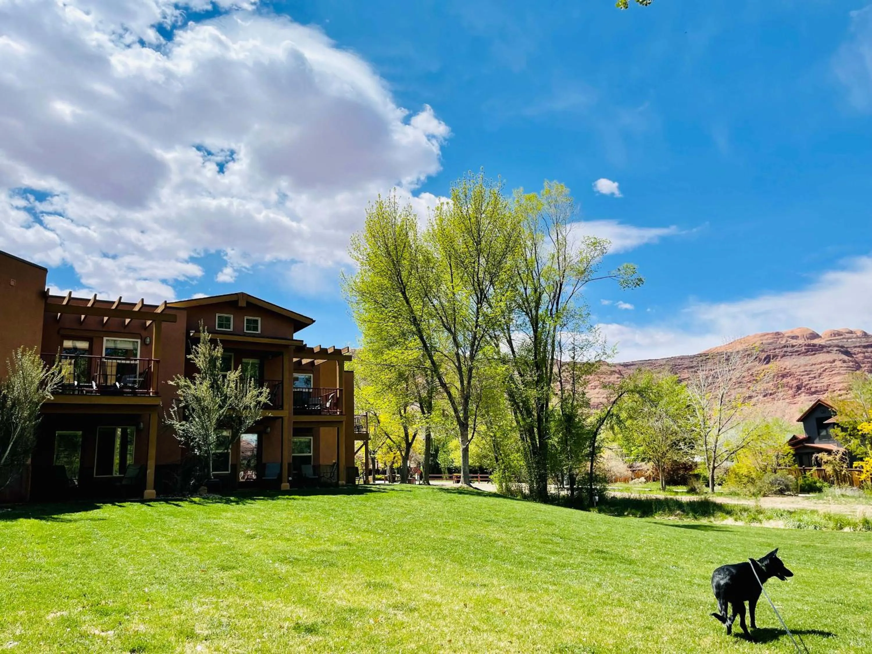 Quiet street view in The Gonzo Inn