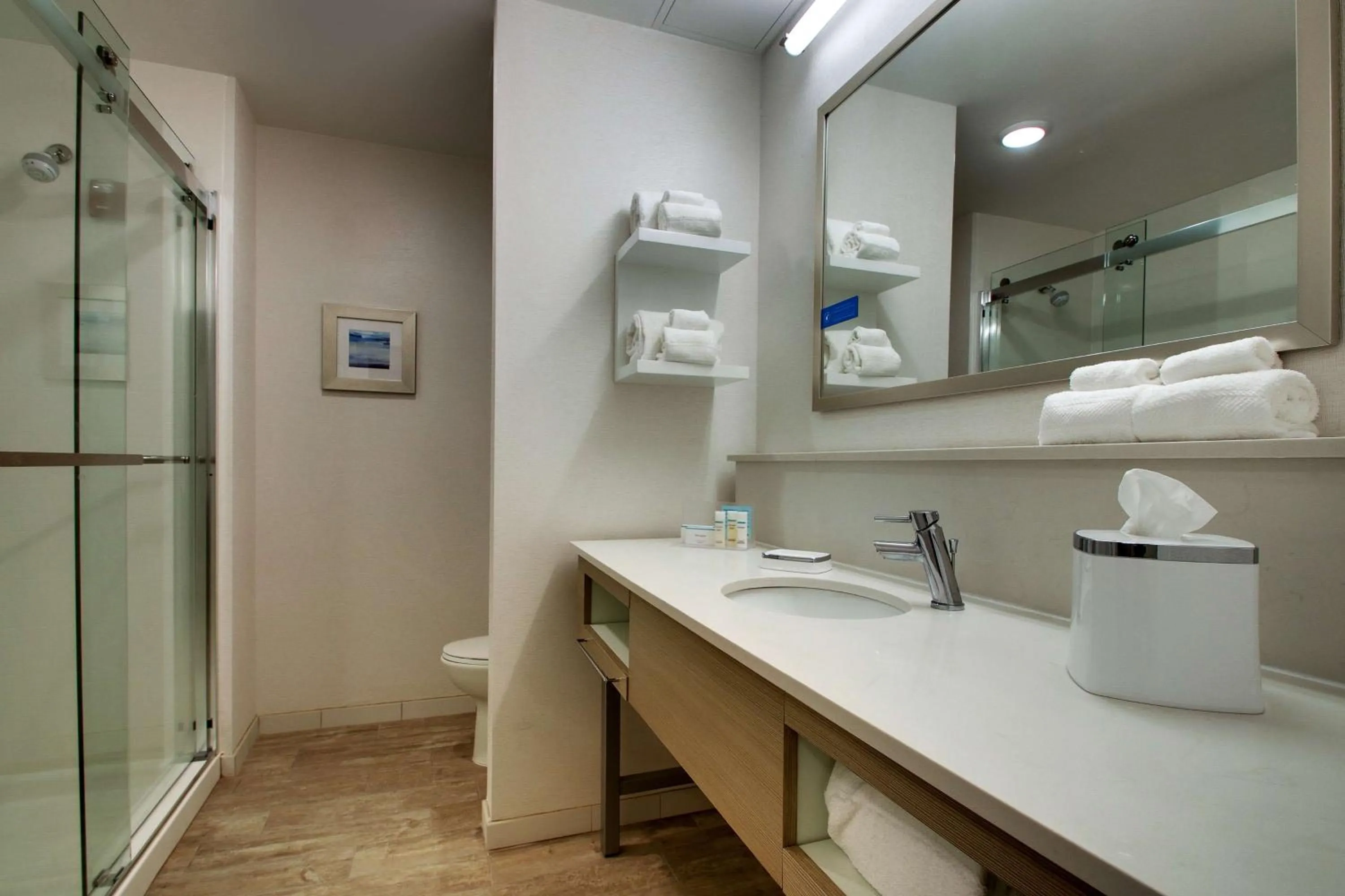 Bathroom in Hampton Inn Sneads Ferry Topsail Beach