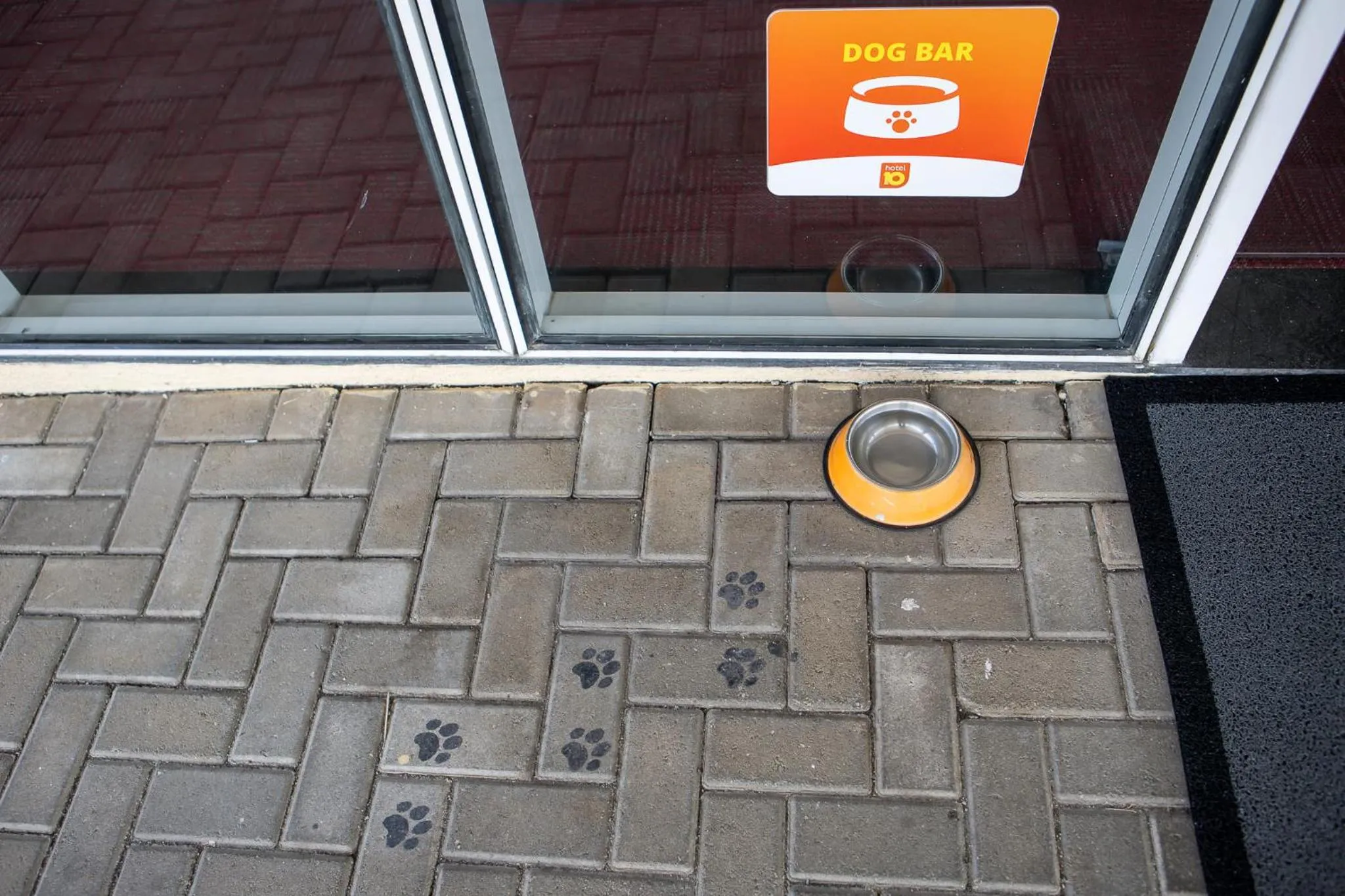 Pets in Hotel 10 Itajai/Navegantes