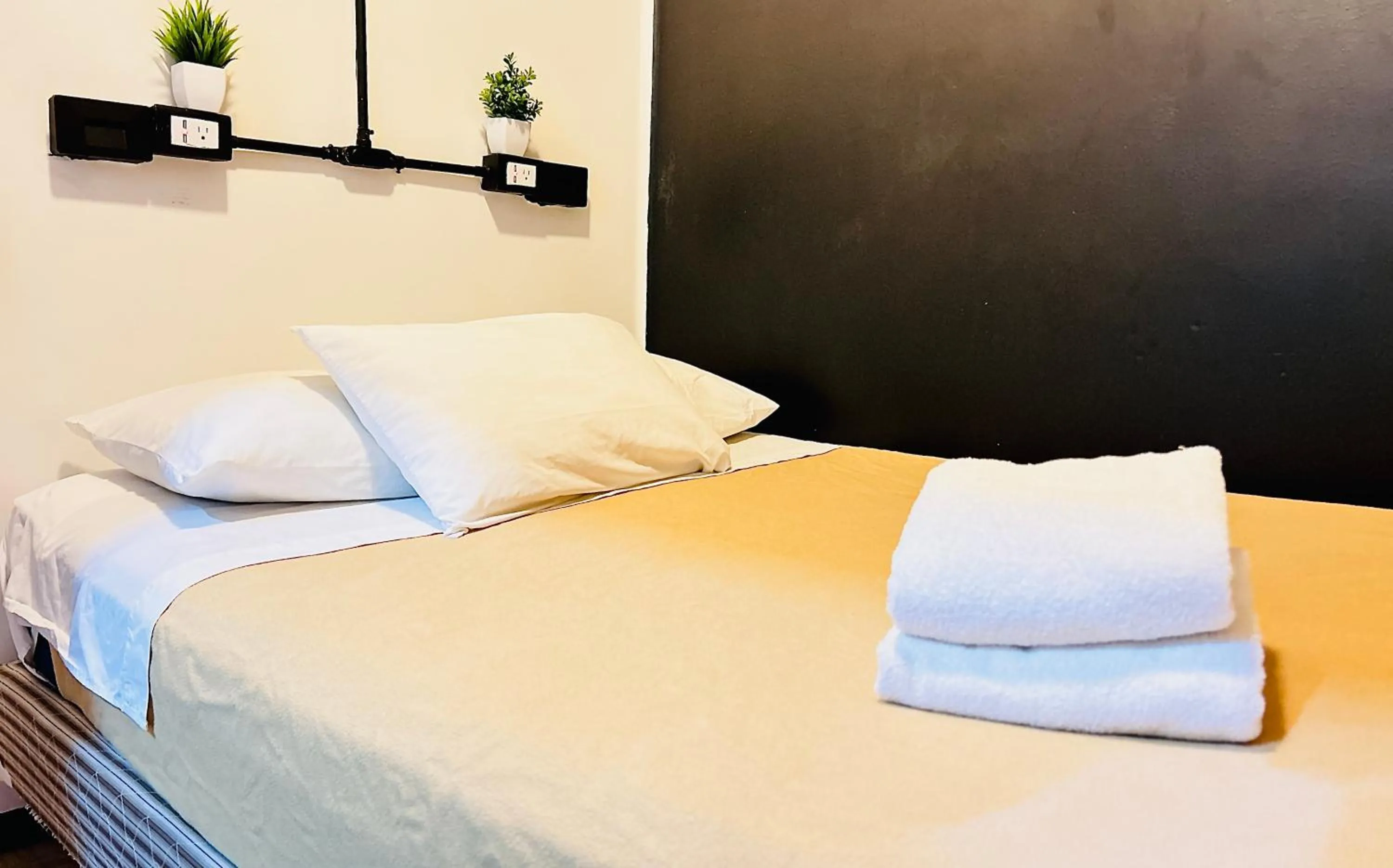 Bed in Hostel Mundo Joven Catedral