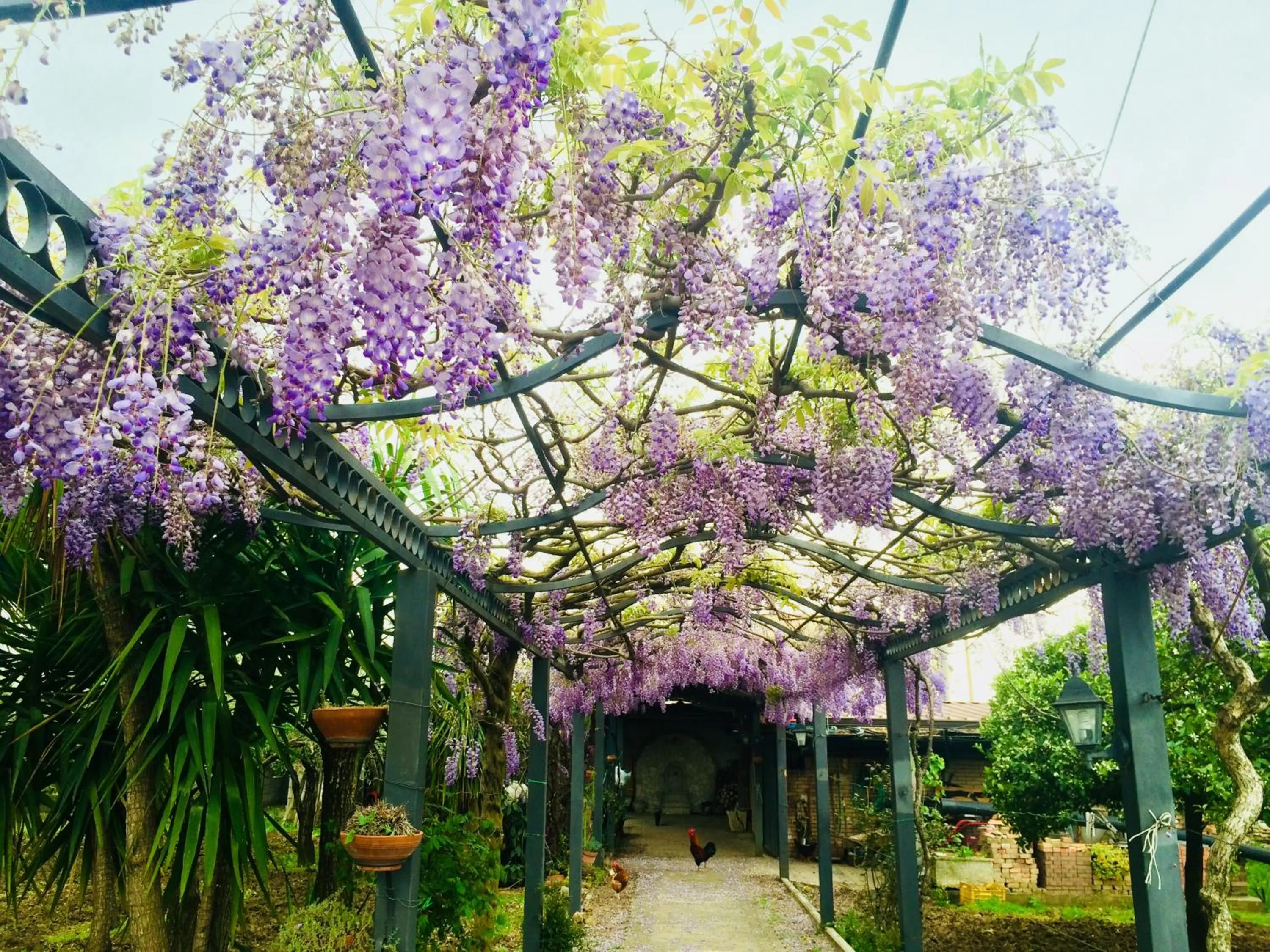 Garden in B&B San Paolo