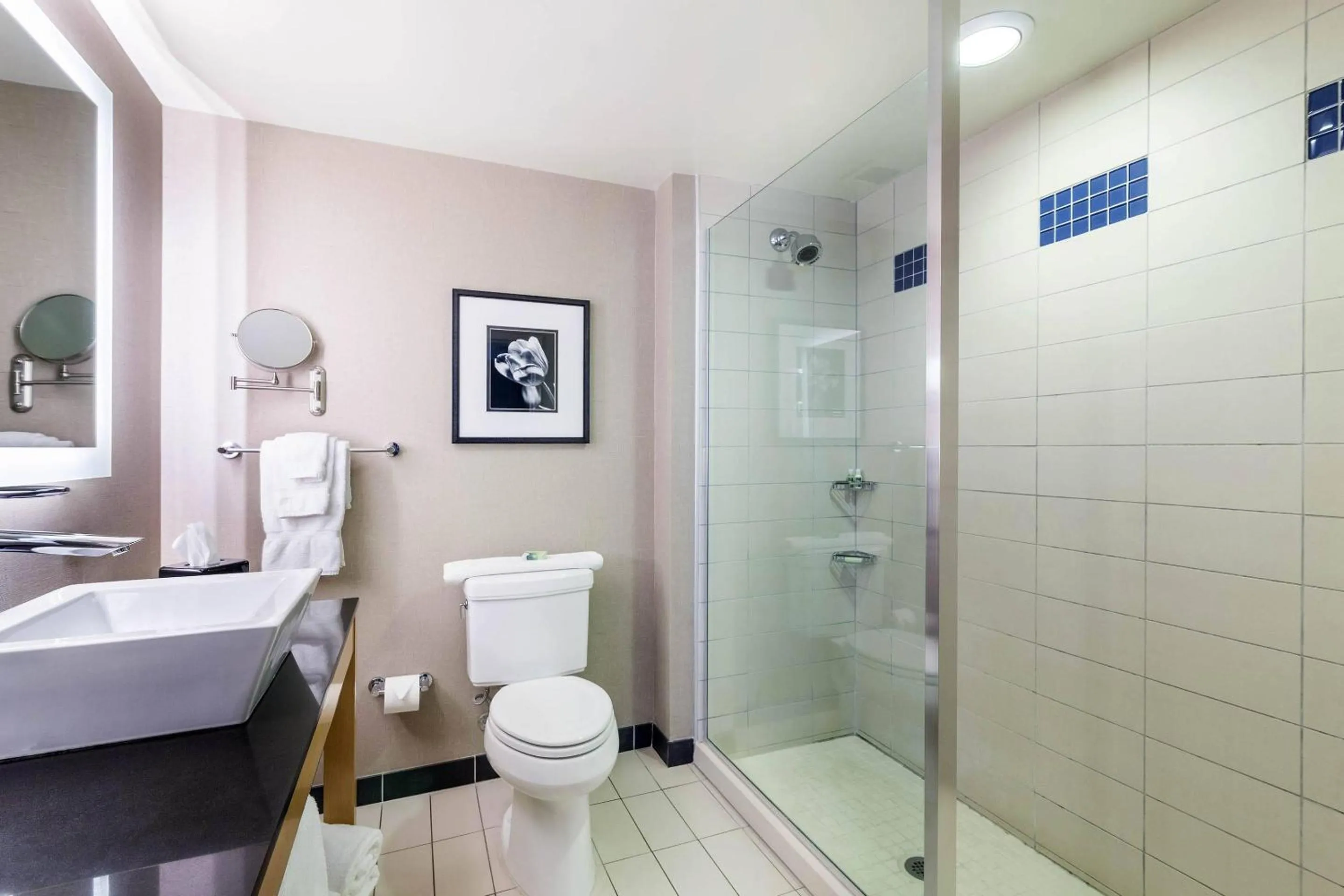 Bathroom in Cambria Hotel Pittsburgh - Downtown