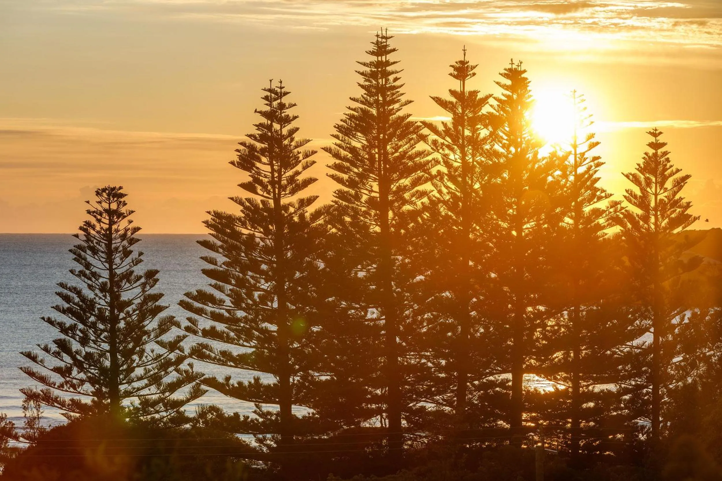 Tathra Beach House Holiday Apartments