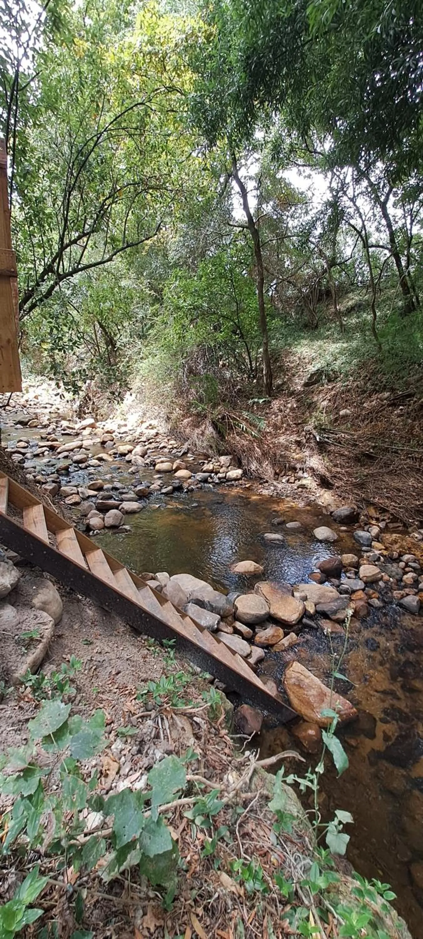 Natural landscape in Languedoc