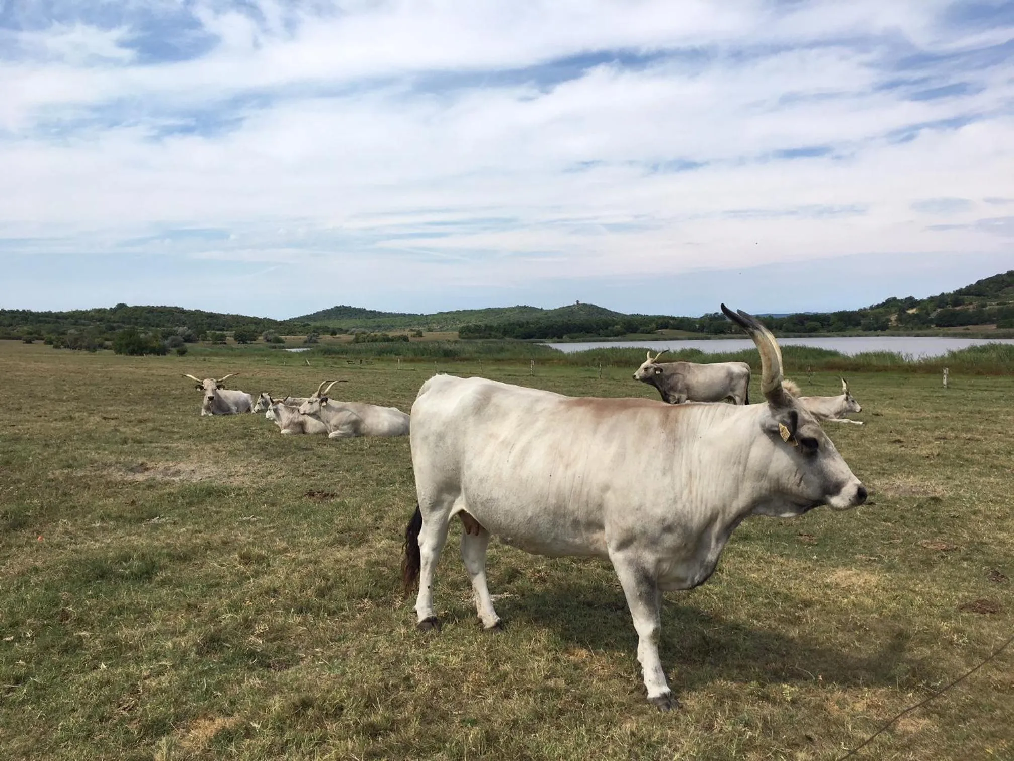 Off site in The Houses of History - anno 1830