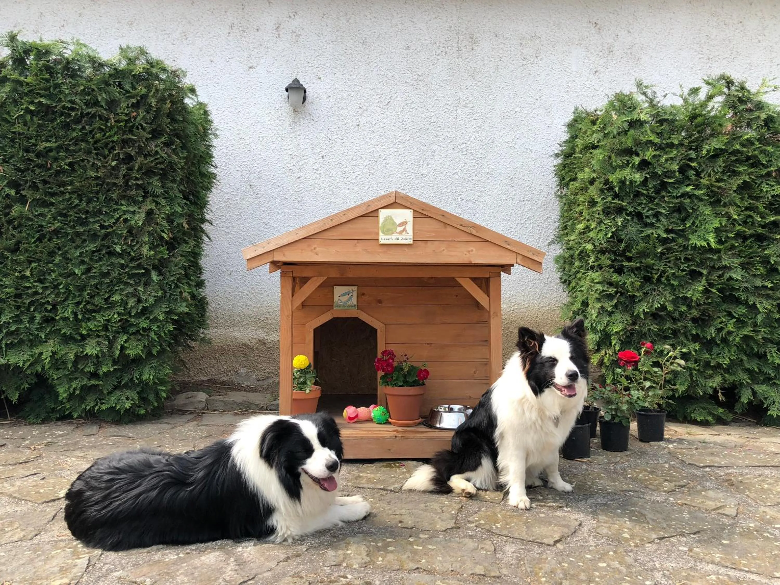 Pets in The Houses of History - anno 1830