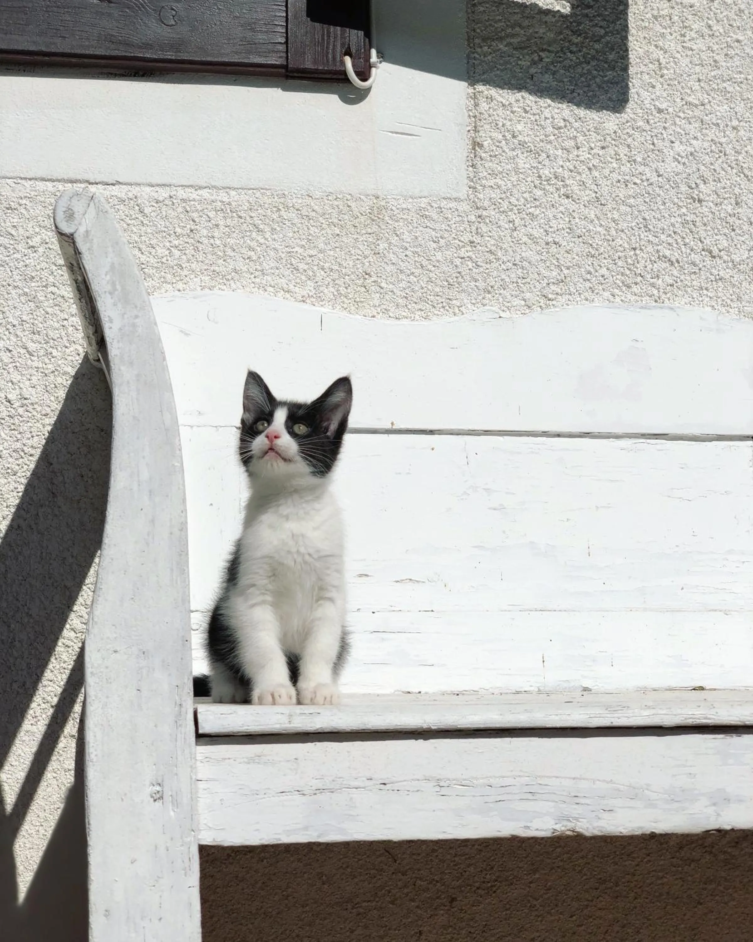 On site in The Houses of History - anno 1830