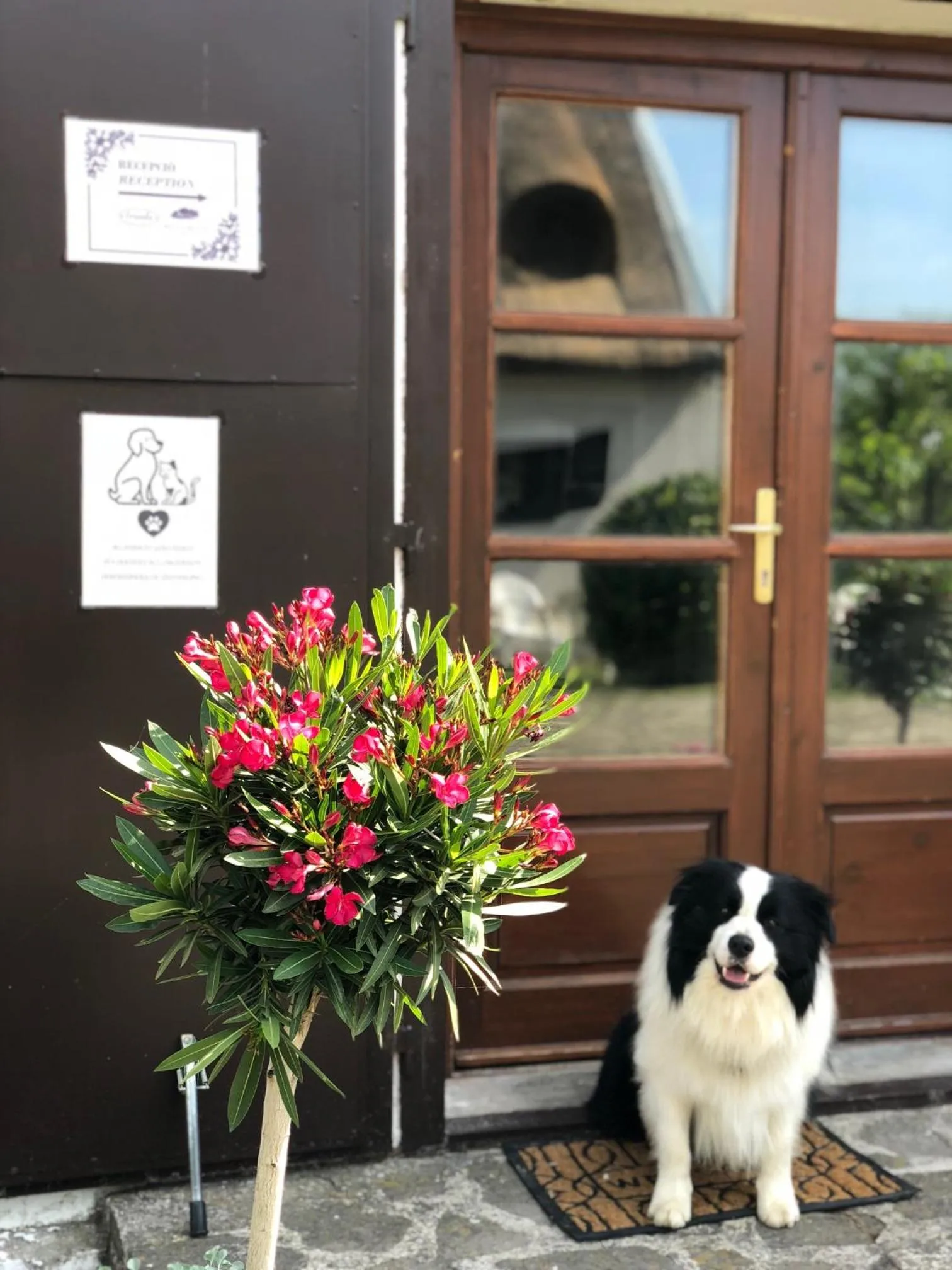 The Houses of History - anno 1830