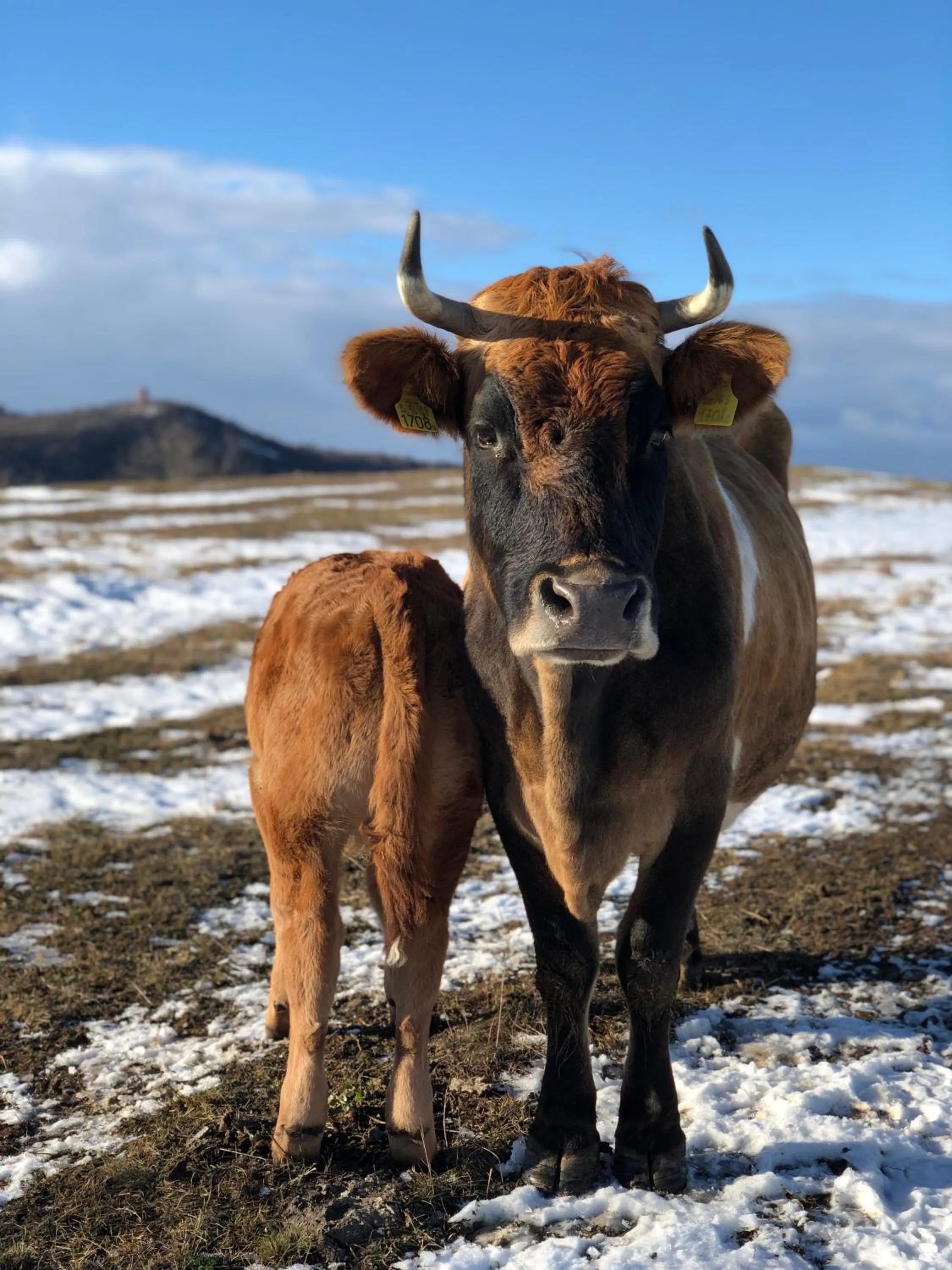 Off site in The Houses of History - anno 1830