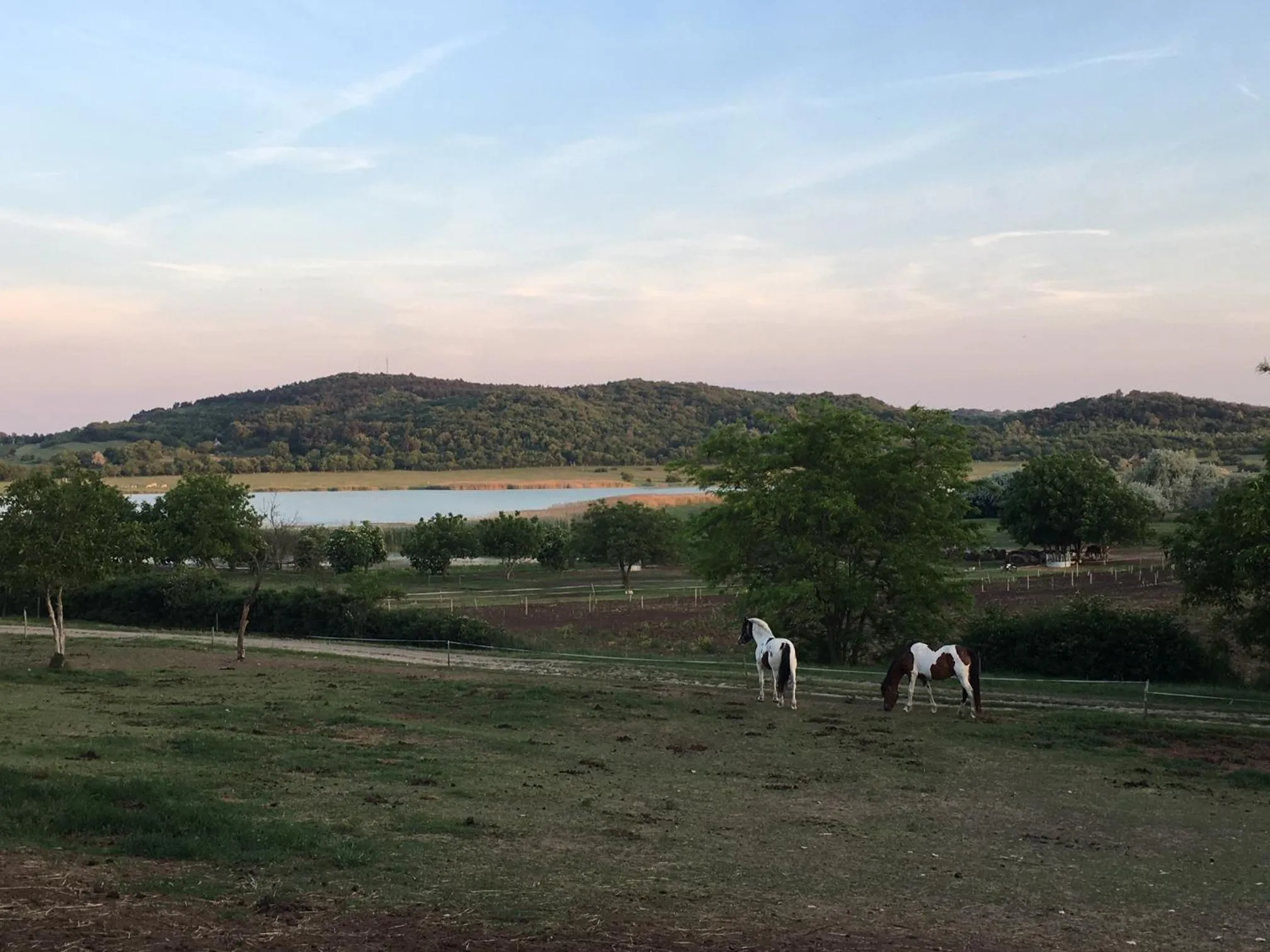 Nearby landmark in The Houses of History - anno 1830